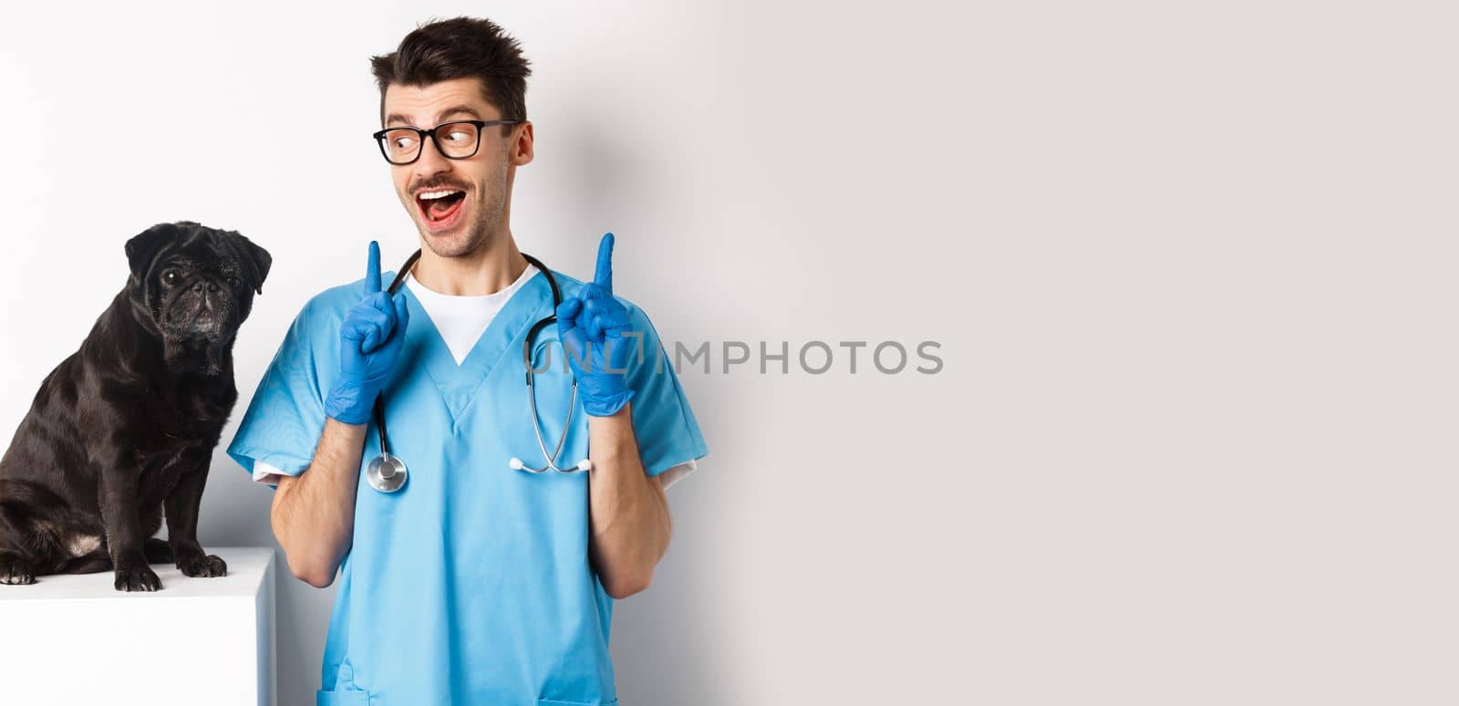 Cheerful handsome veteriantian in scrubs staring happy at cute little dog pug and smiling, pointing fingers up at promo offer, white background by Benzoix