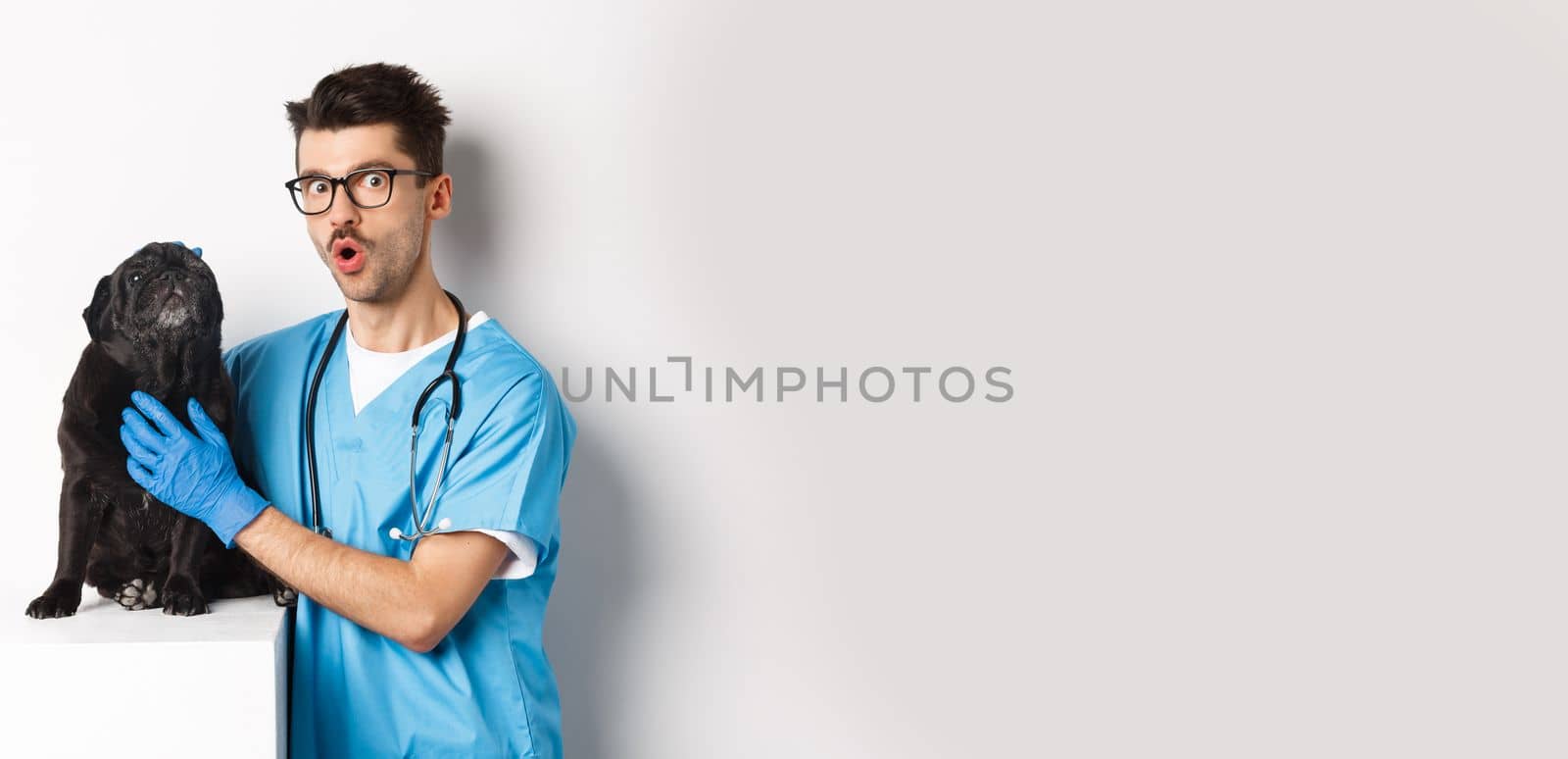 Handsome young veterinarian doctor scratching cute black pug, pet a dog, standing in scrubs over white background.