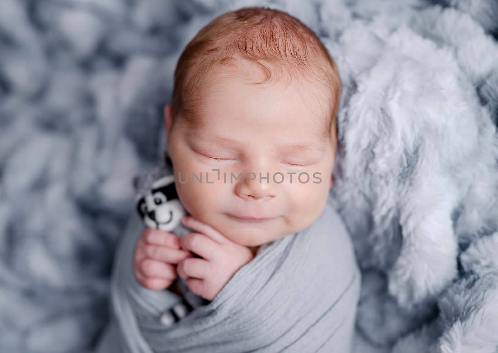 Cute newborn baby boy swaddled in grey fabric holding toy and sleeping on fur blanket. Adorable infant child kid napping studio portrait