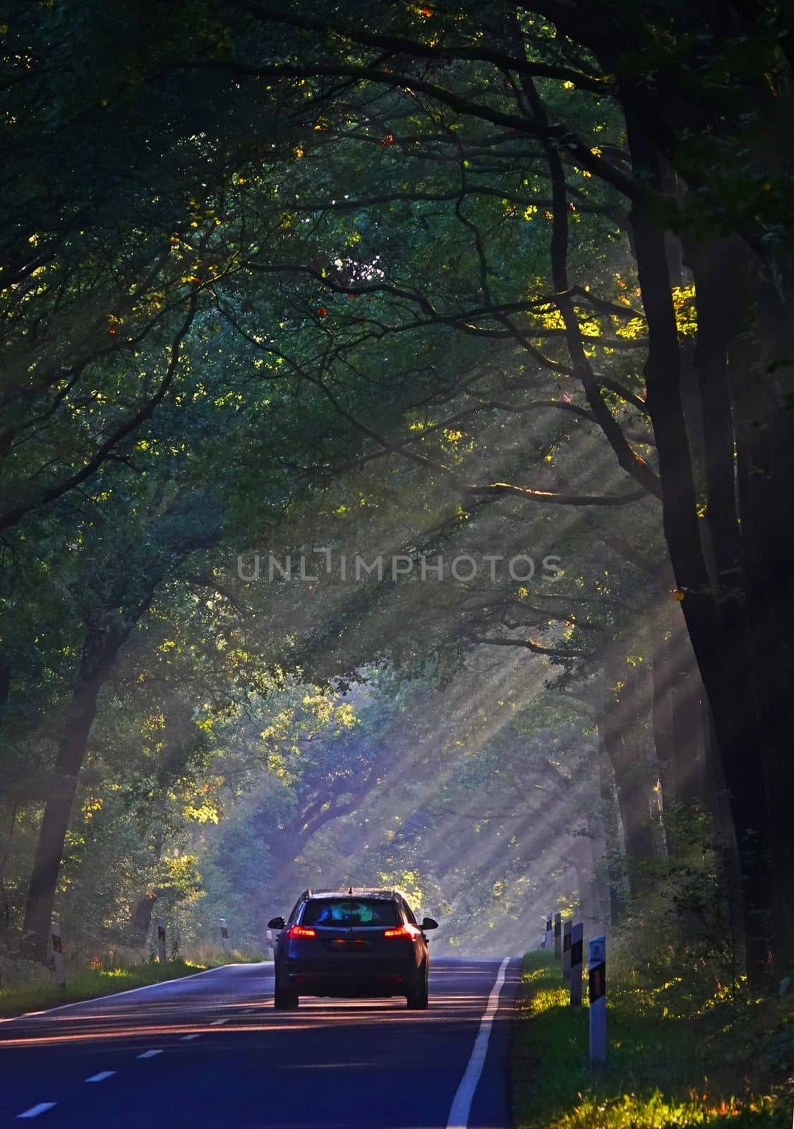 Morning on a country road in the woods. Sun's rays pass through the trees. A car is passing