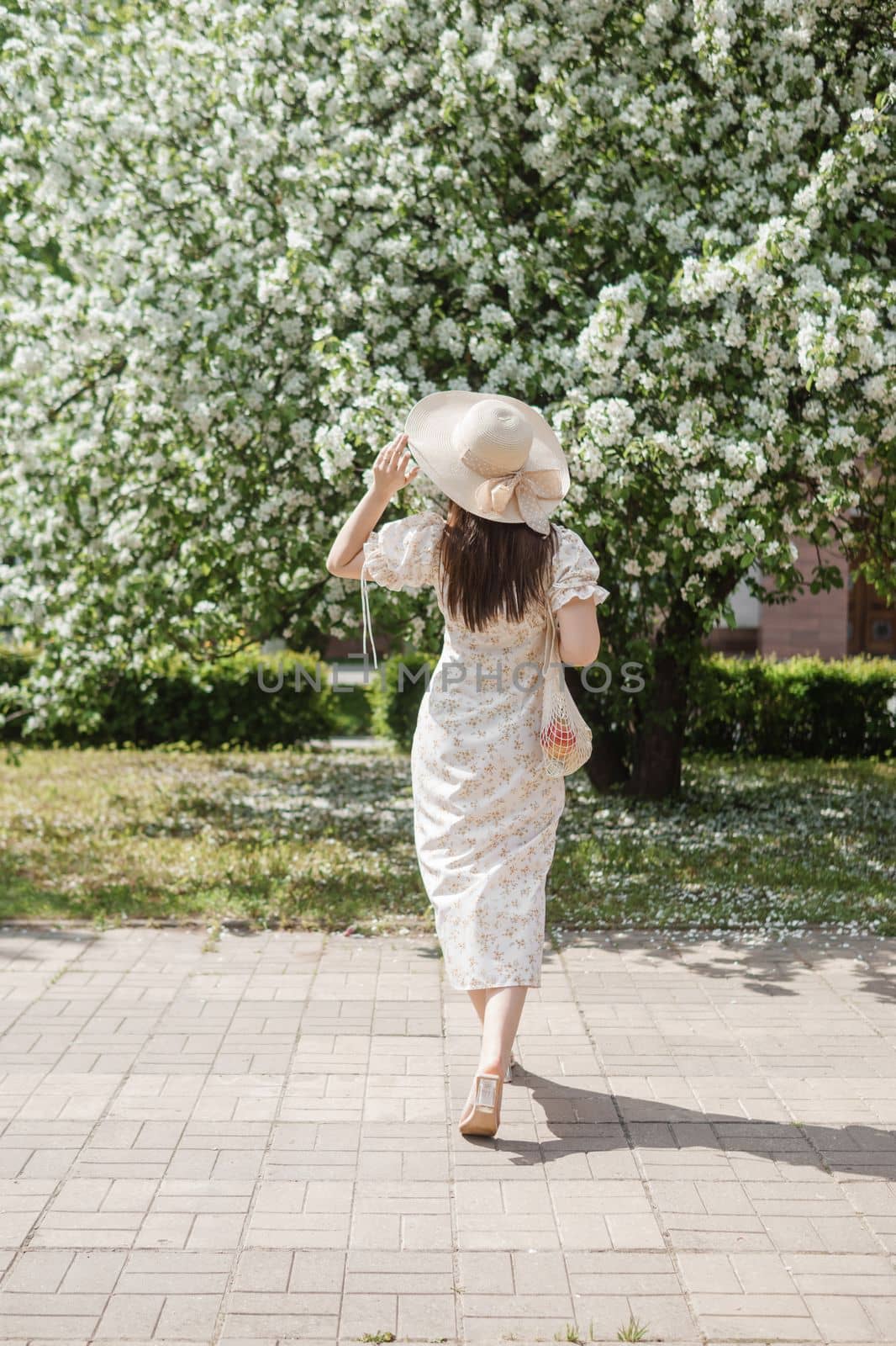 An attractive long-haired woman walks in the spring in the park of blooming apple trees. Spring portrait of a woman