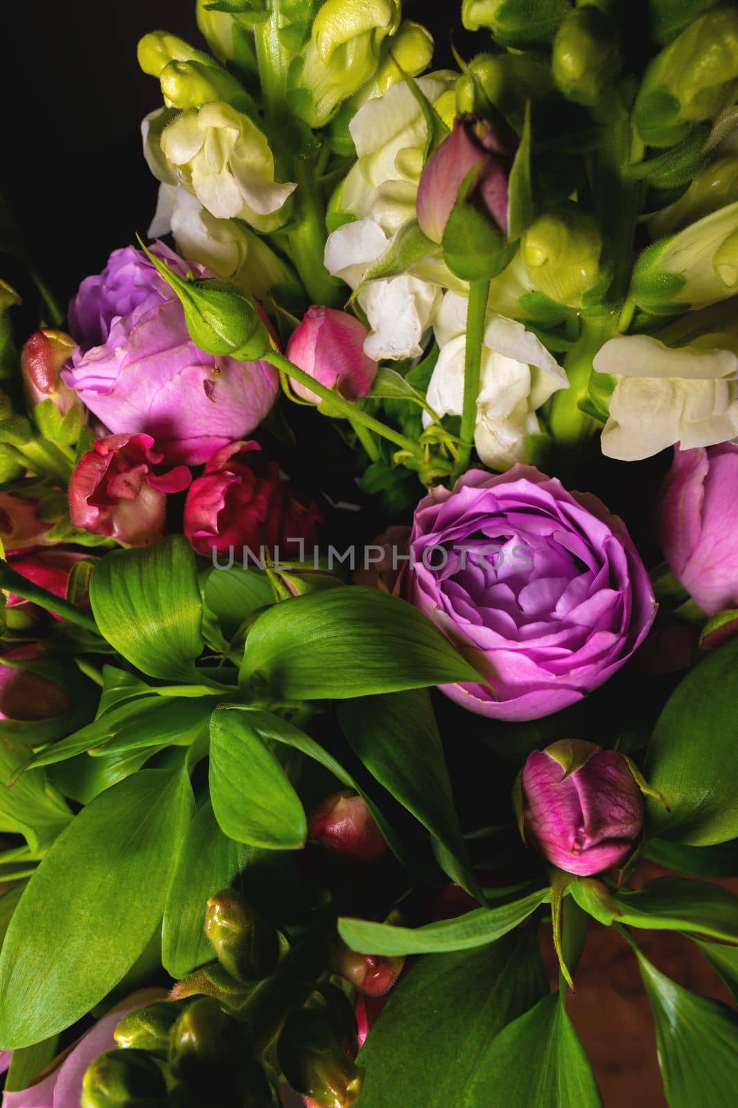 Pink peony roses with green foliage, close-up of a bouquet, macro shot on a dark background.