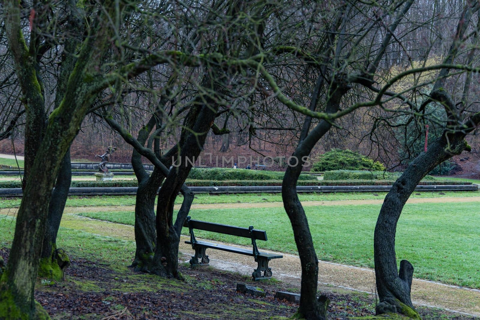 A scenic view of an old bench in rainy autumn park