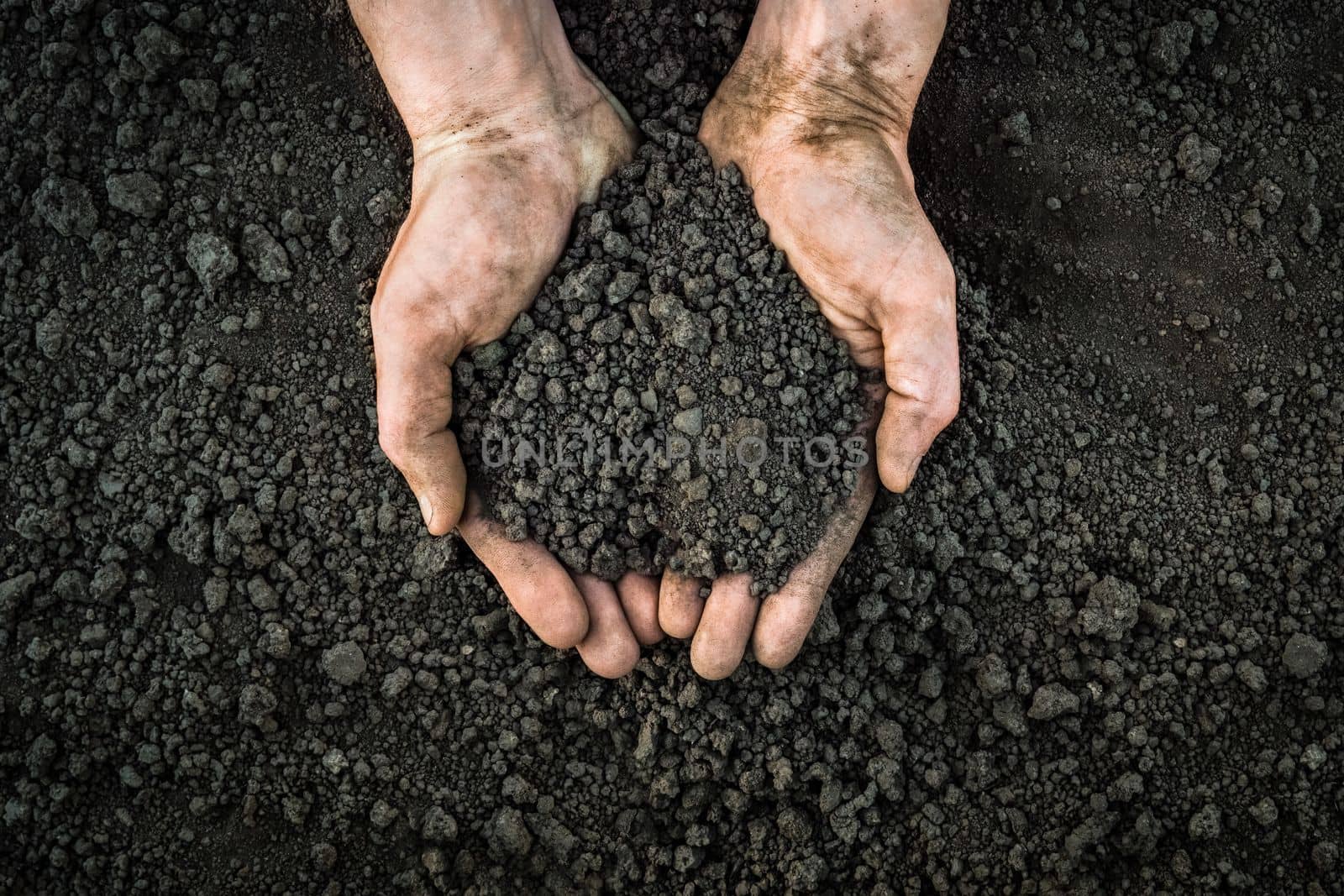 Farmer hands soil ground earth dirt garden soil farm ground dirt. Handful of dirt hands holding dark soil field organic earth garden. Male hands full of fertile land field agriculture concept. Closeup