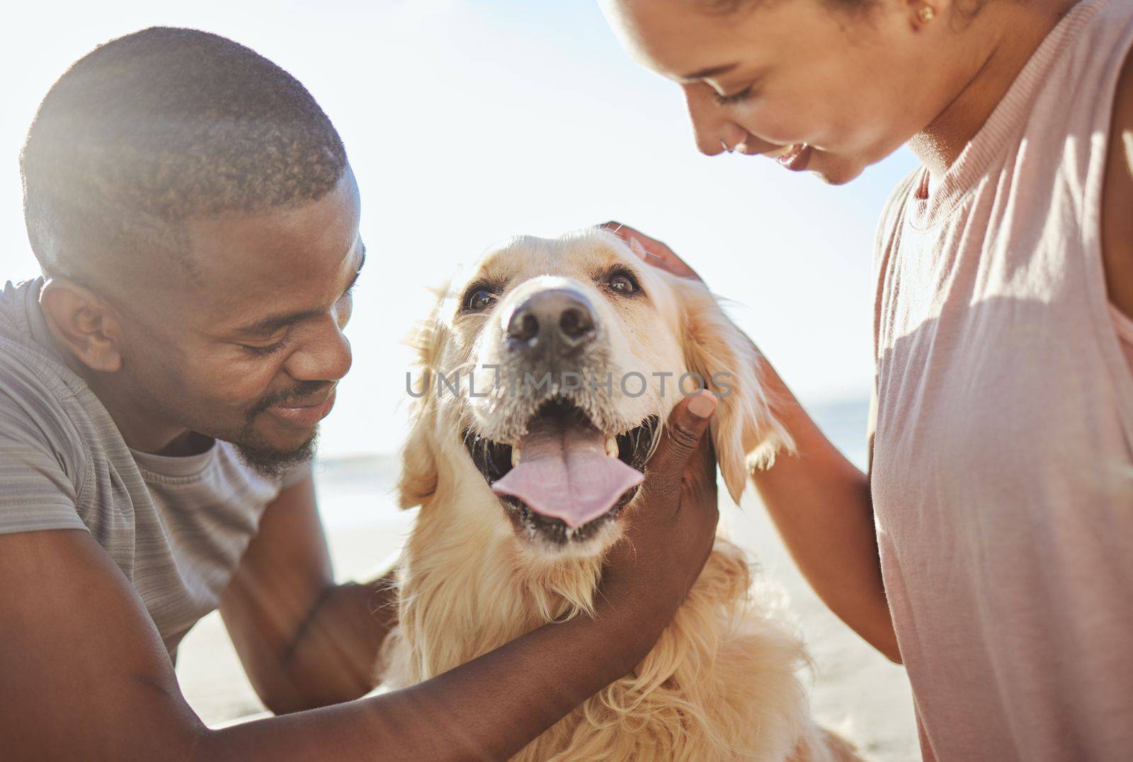 Couple, dog and love, together at beach for fun trip, happy and pets animal with care. Bonding, spending quality time and black man with woman by the ocean on adventure with golden retriever puppy