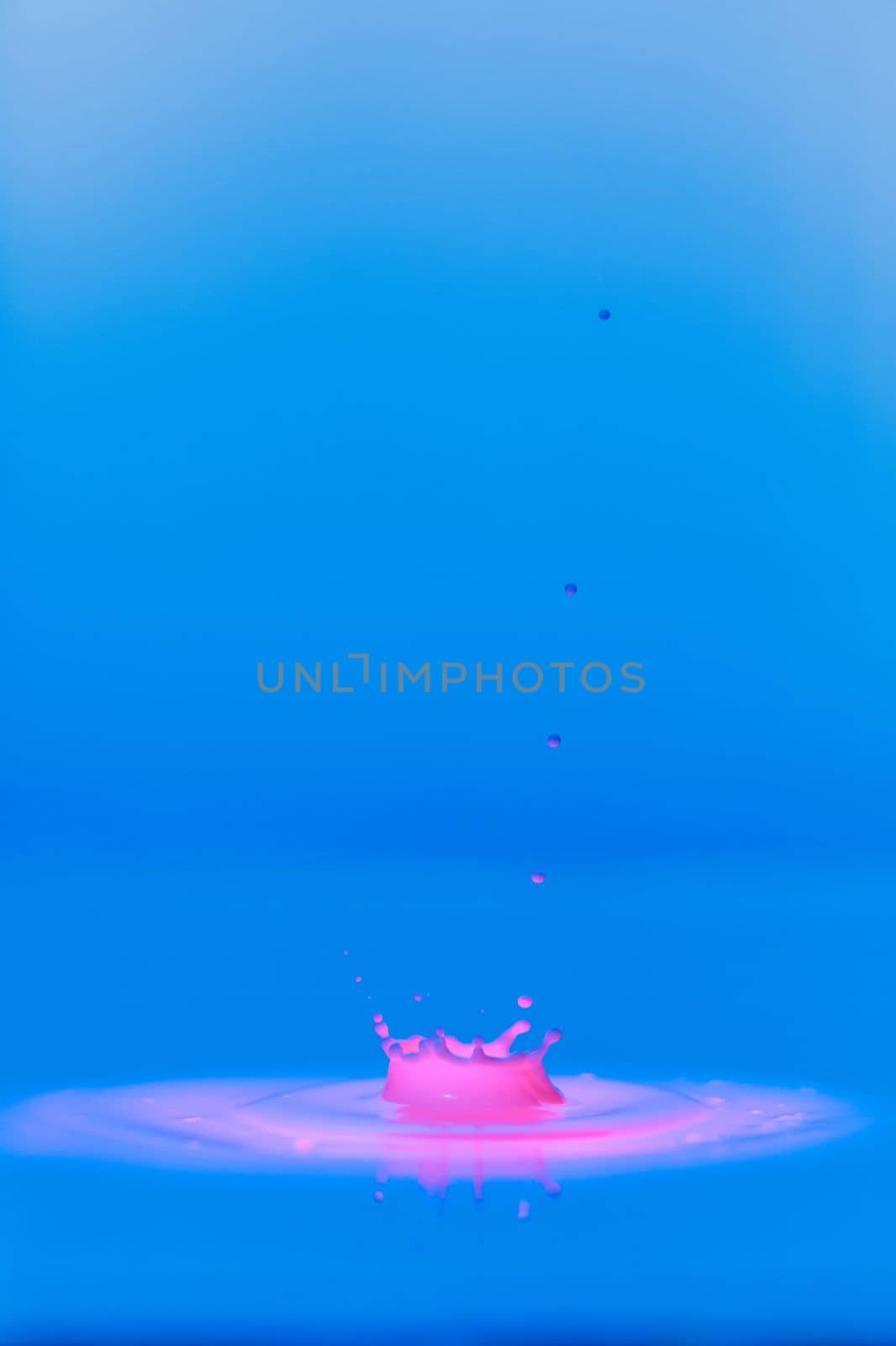 A drop falls into a thick liquid with a blue-pink background. Abstract colorful background. by Yurich32