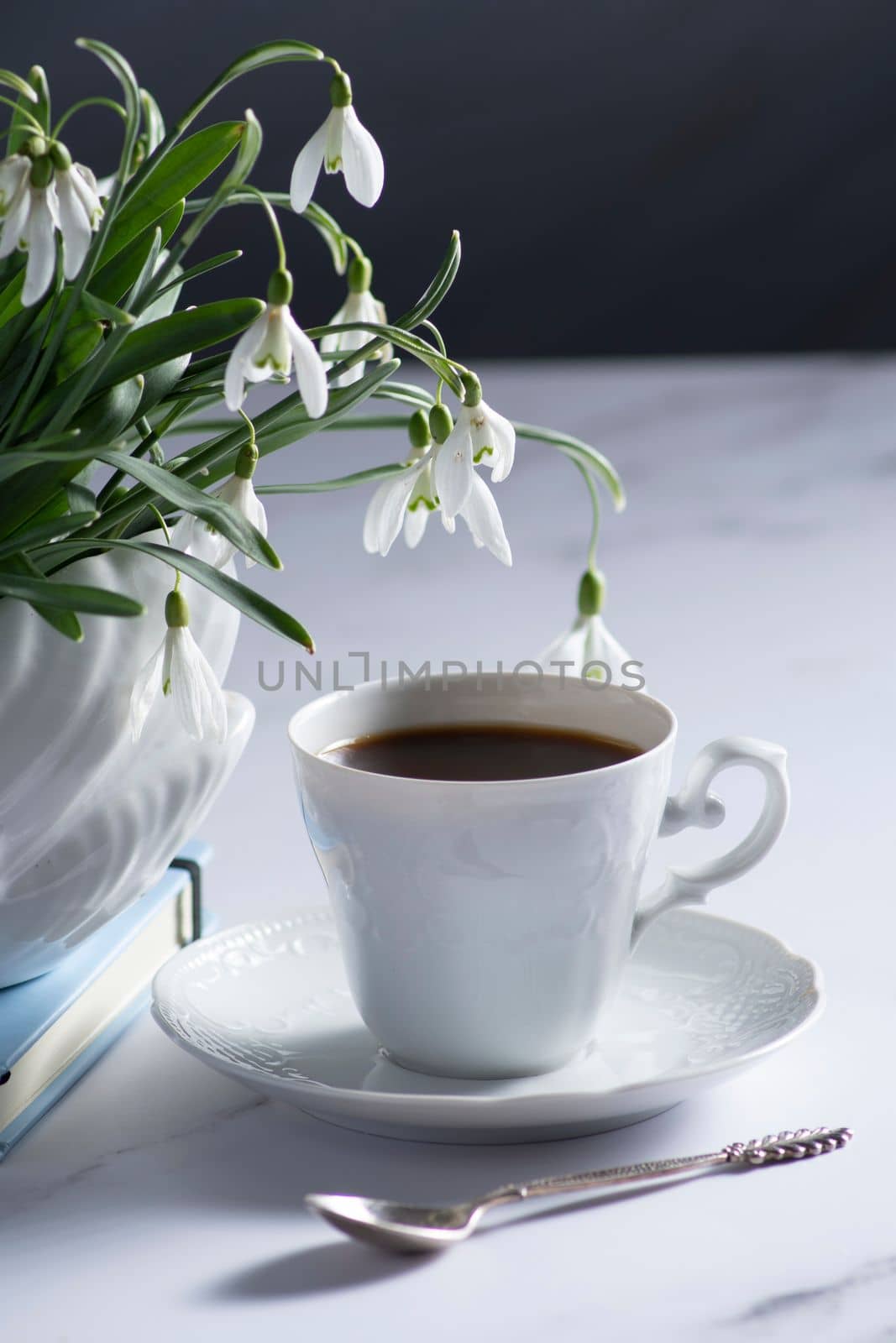 Still life with white snowdrops in a ceramic vase in the form of a swan, coffee in a white cup, conceptual morning ritual whith a book.High quality photo