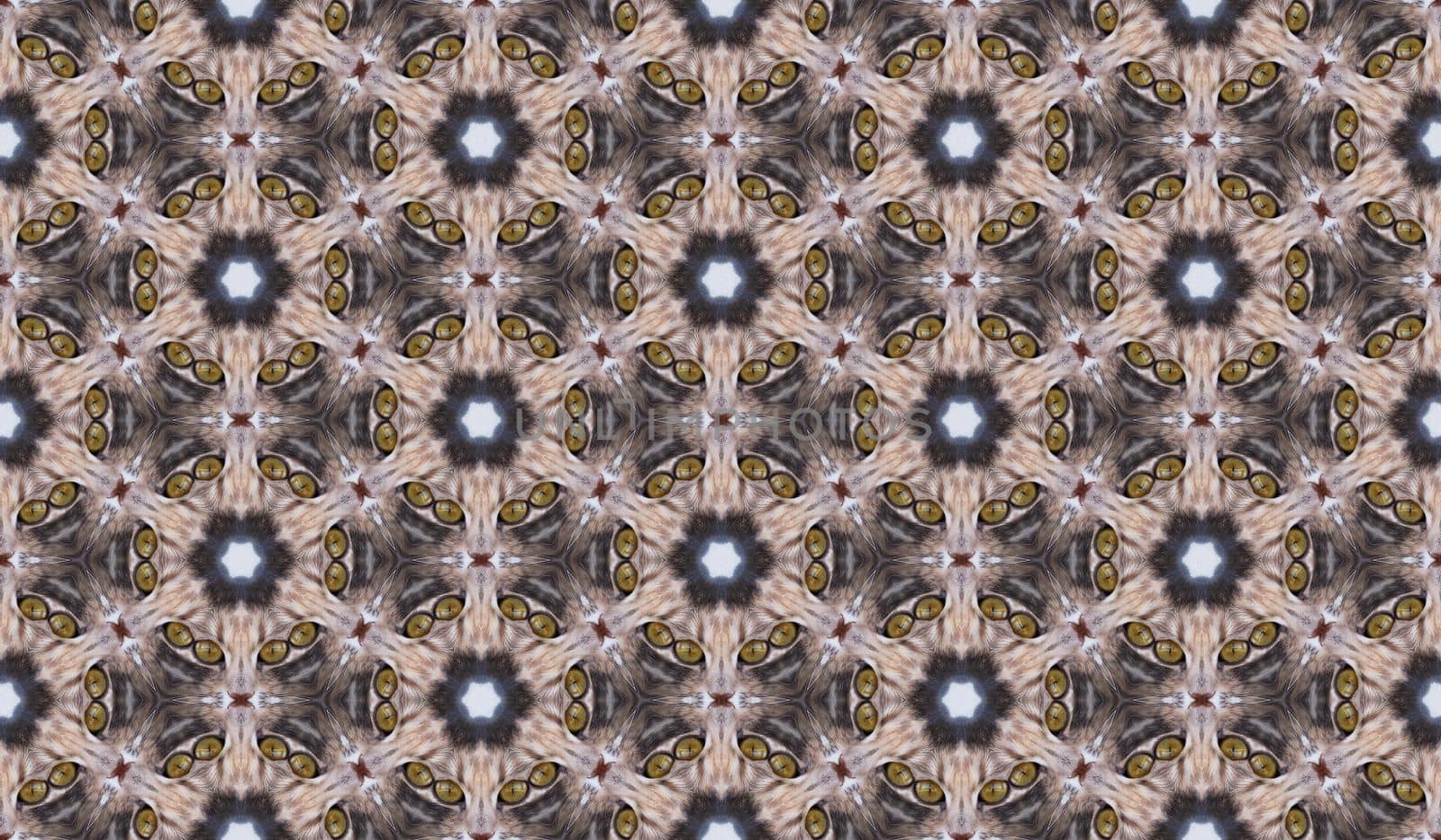 Abstract seamless texture from a photo of a domestic cat.