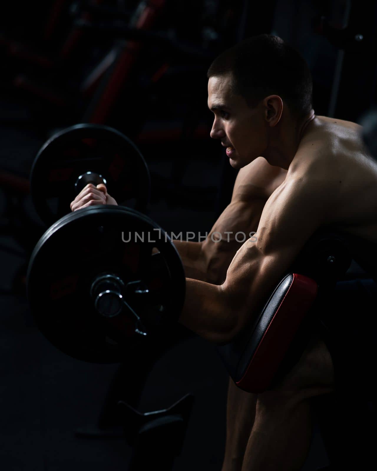 Man doing EZ barbell bicep exercises on Scott bench