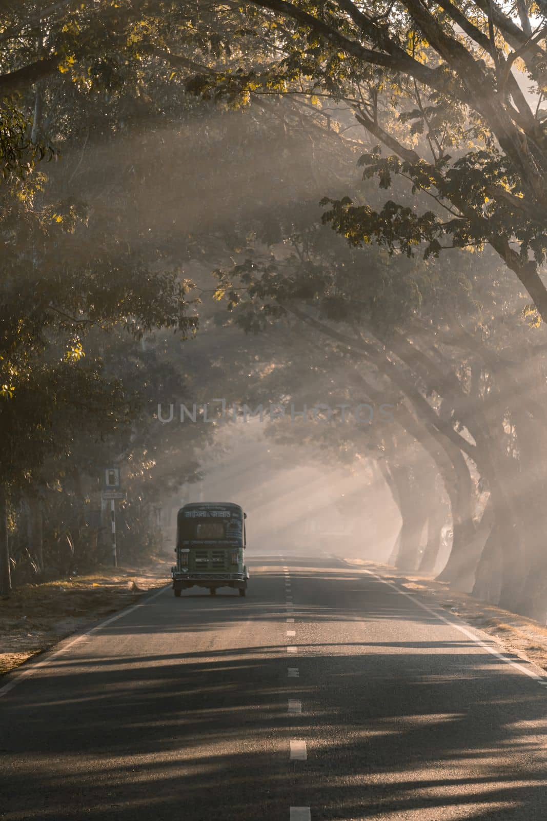 Driving in a foggy road in a winter morning, selective focus