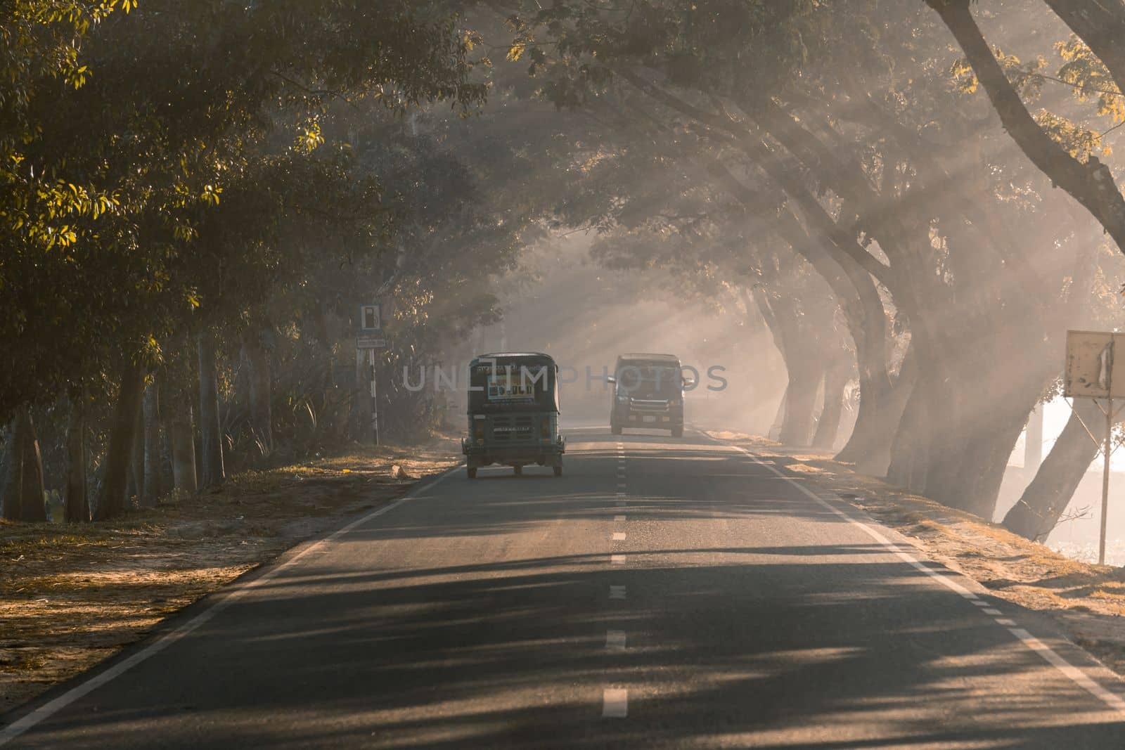 Driving in a foggy road in a winter morning, selective focus