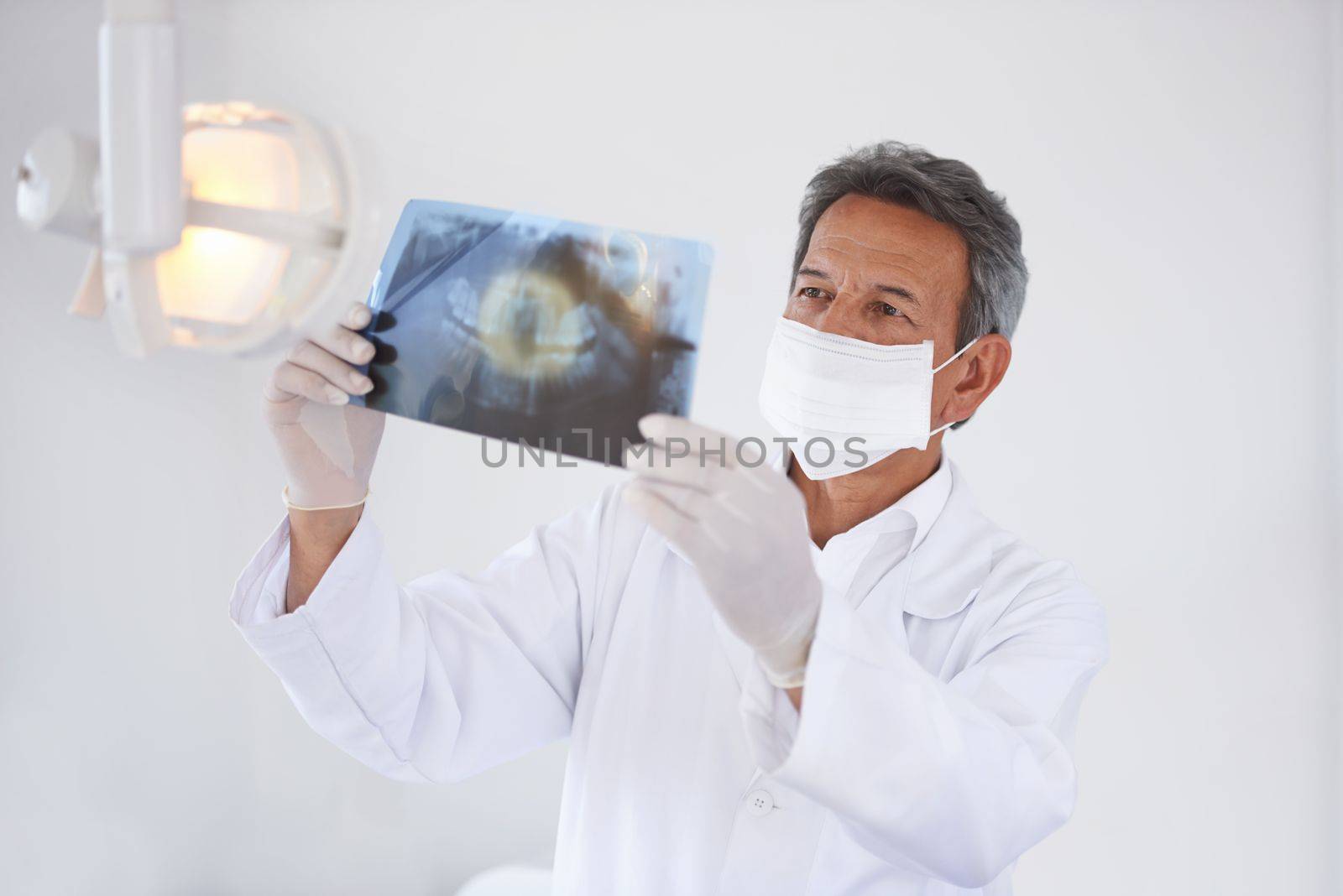 Getting a closer look. a dentist looking at an xray