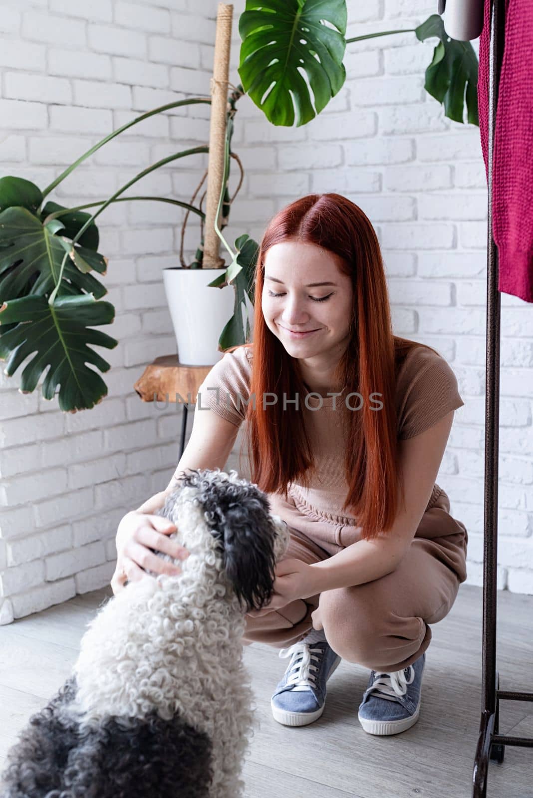 young woman playing with her cute dog at home. Lovely pet