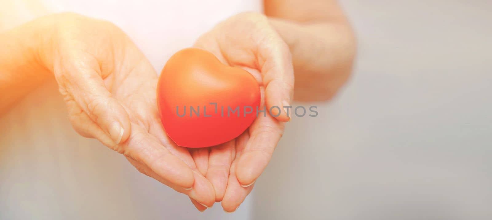 Grandmother woman hands holding red heart, healthcare, love, organ donation, mindfulness, wellbeing, family insurance and CSR concept, world heart day, world health day, national organ donor day.