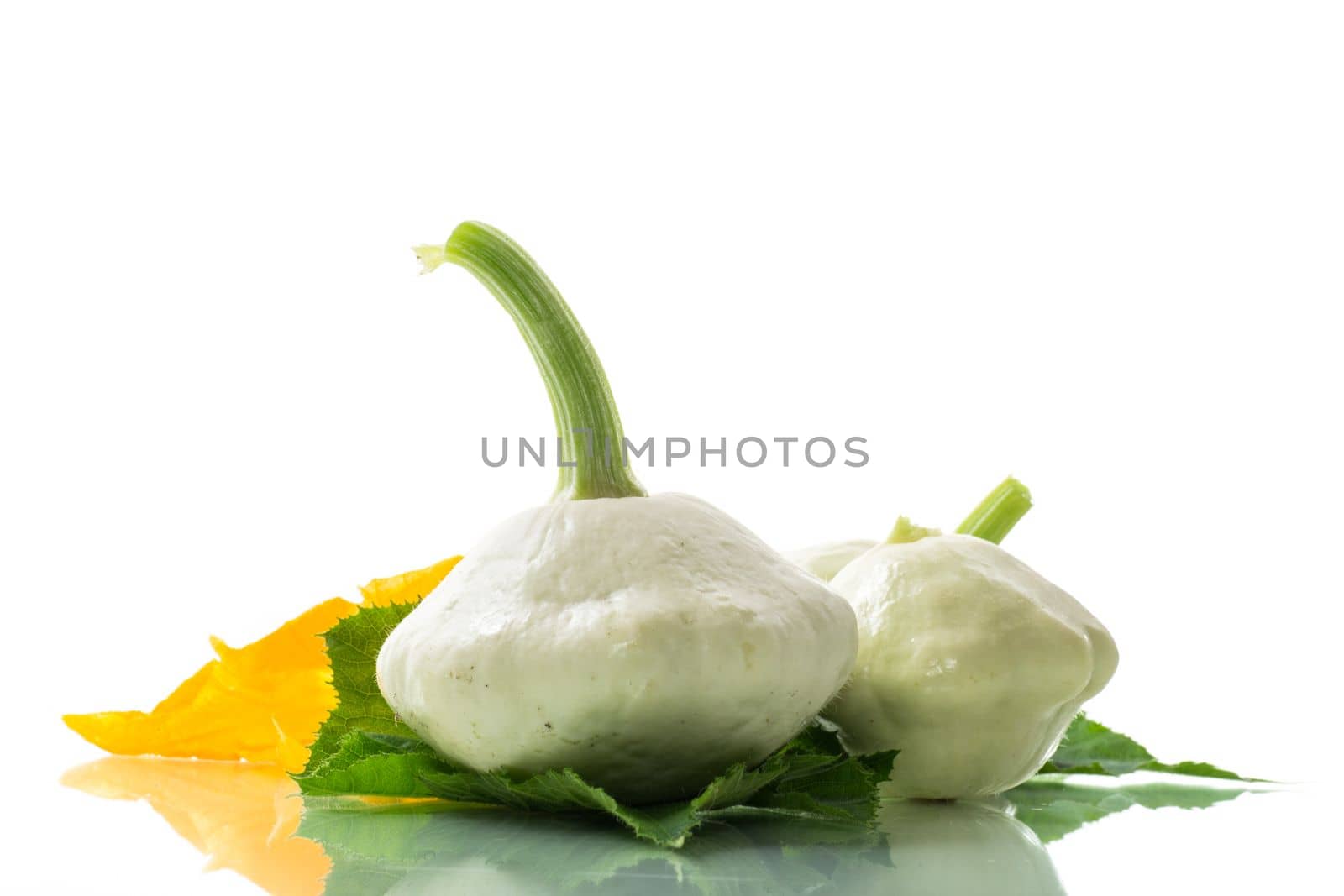fresh organic squash isolated on white background by Rawlik