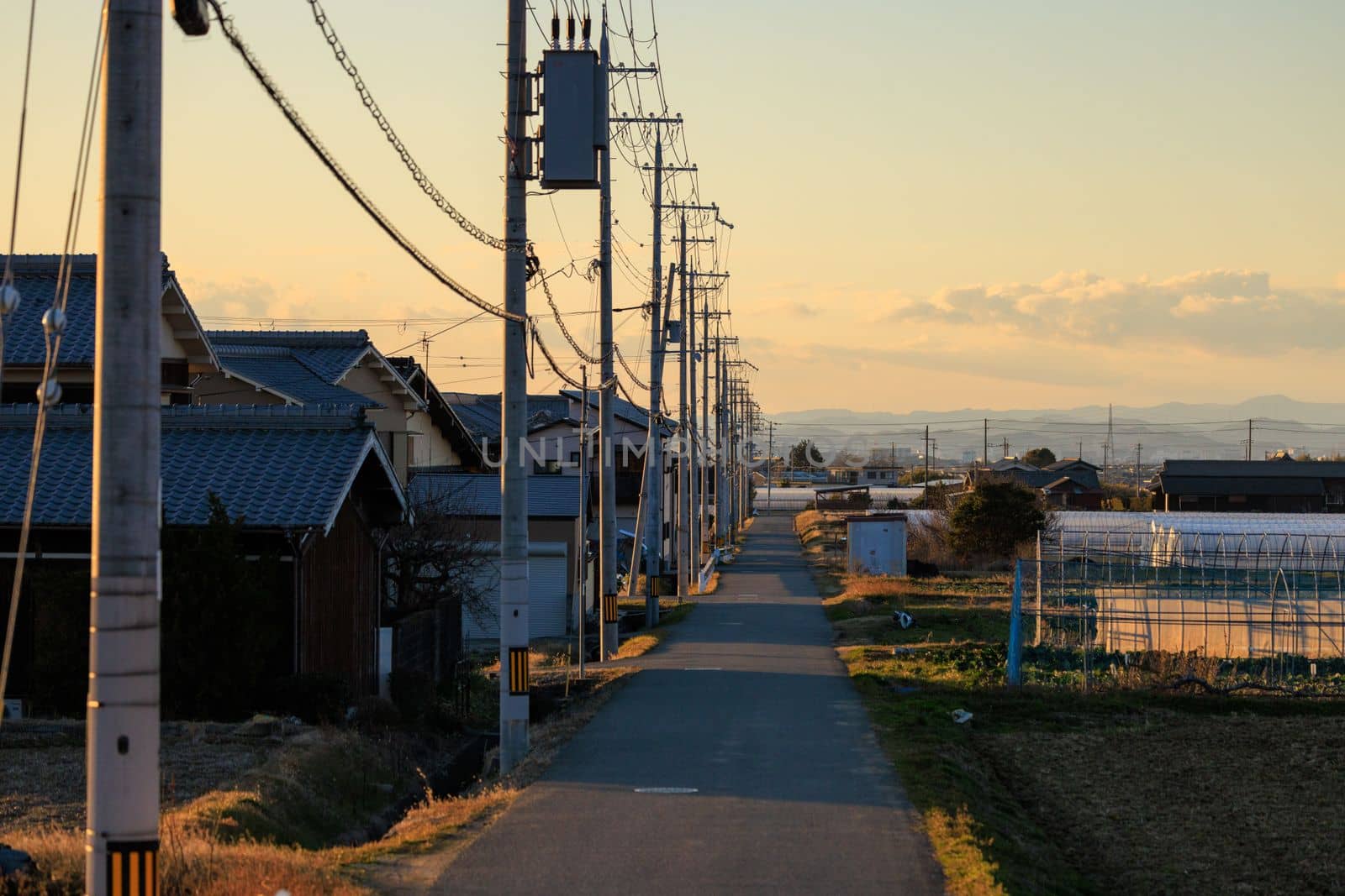 Narrow country road by houses and electrical poles at sunset by Osaze