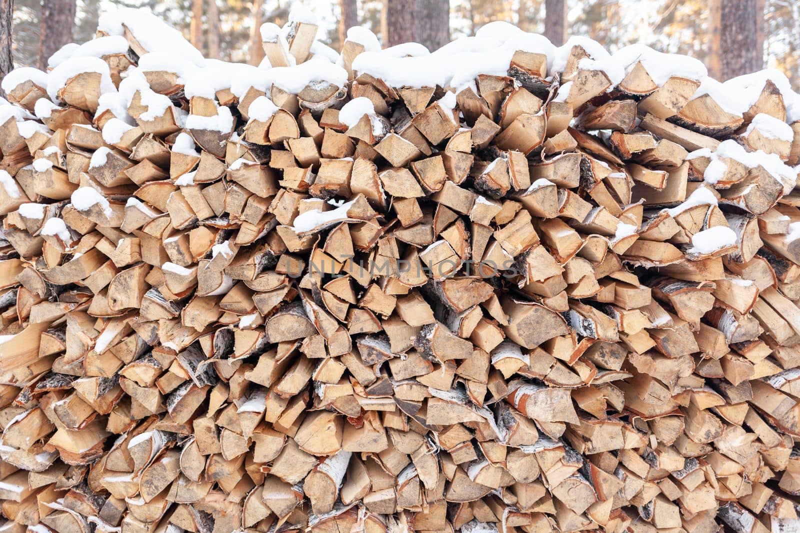 Stacked firewood covered with white snow, wood for kindling by AnatoliiFoto