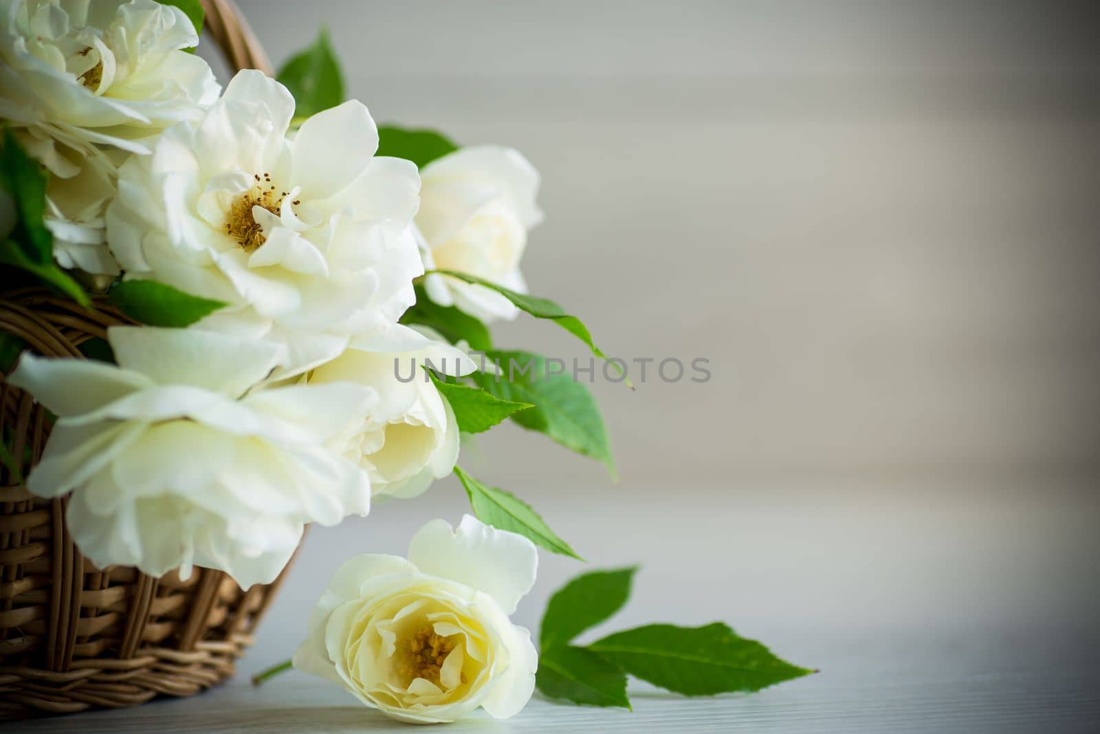 bouquet of beautiful white roses on a wooden table