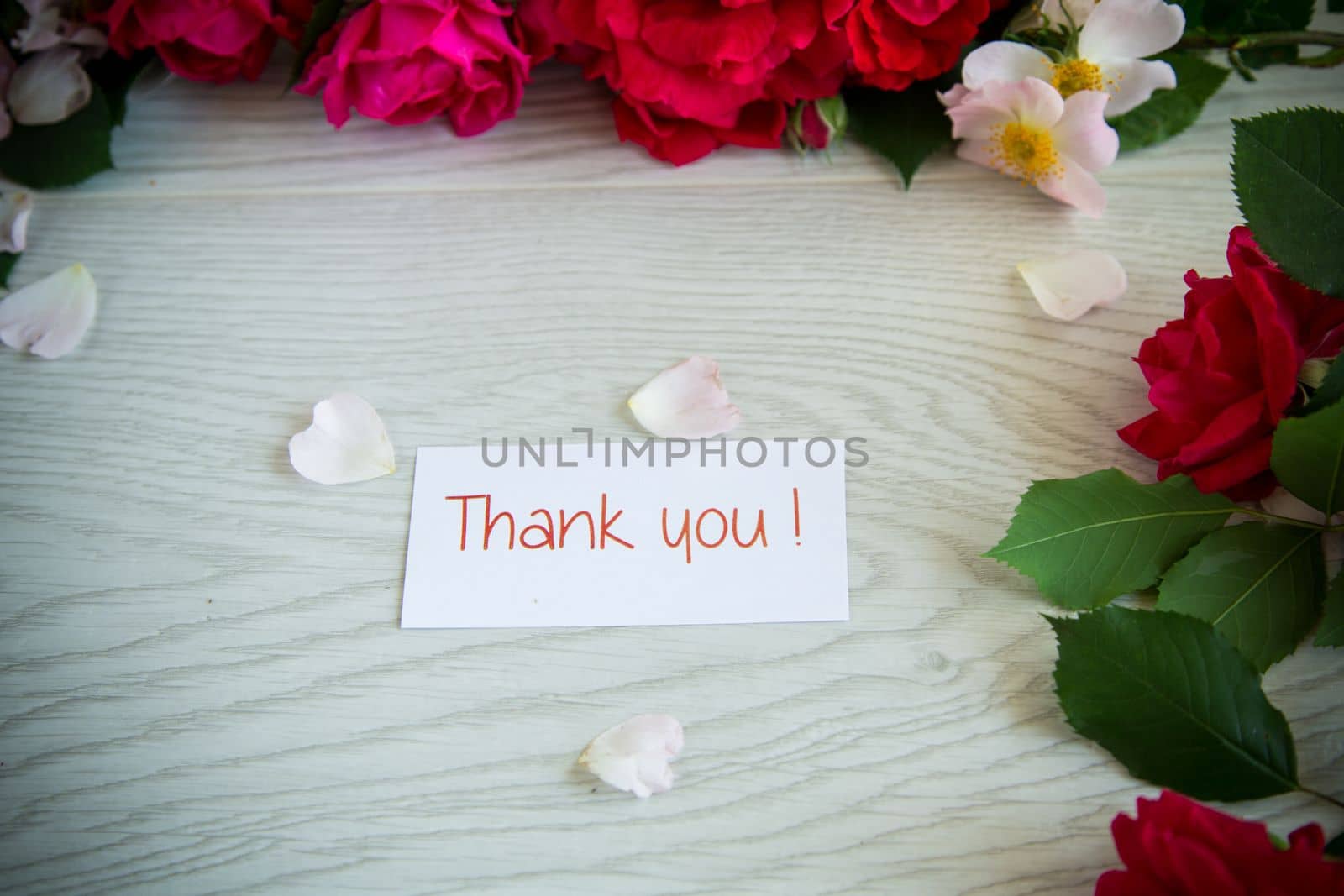 beautiful background of many red roses on a light wooden