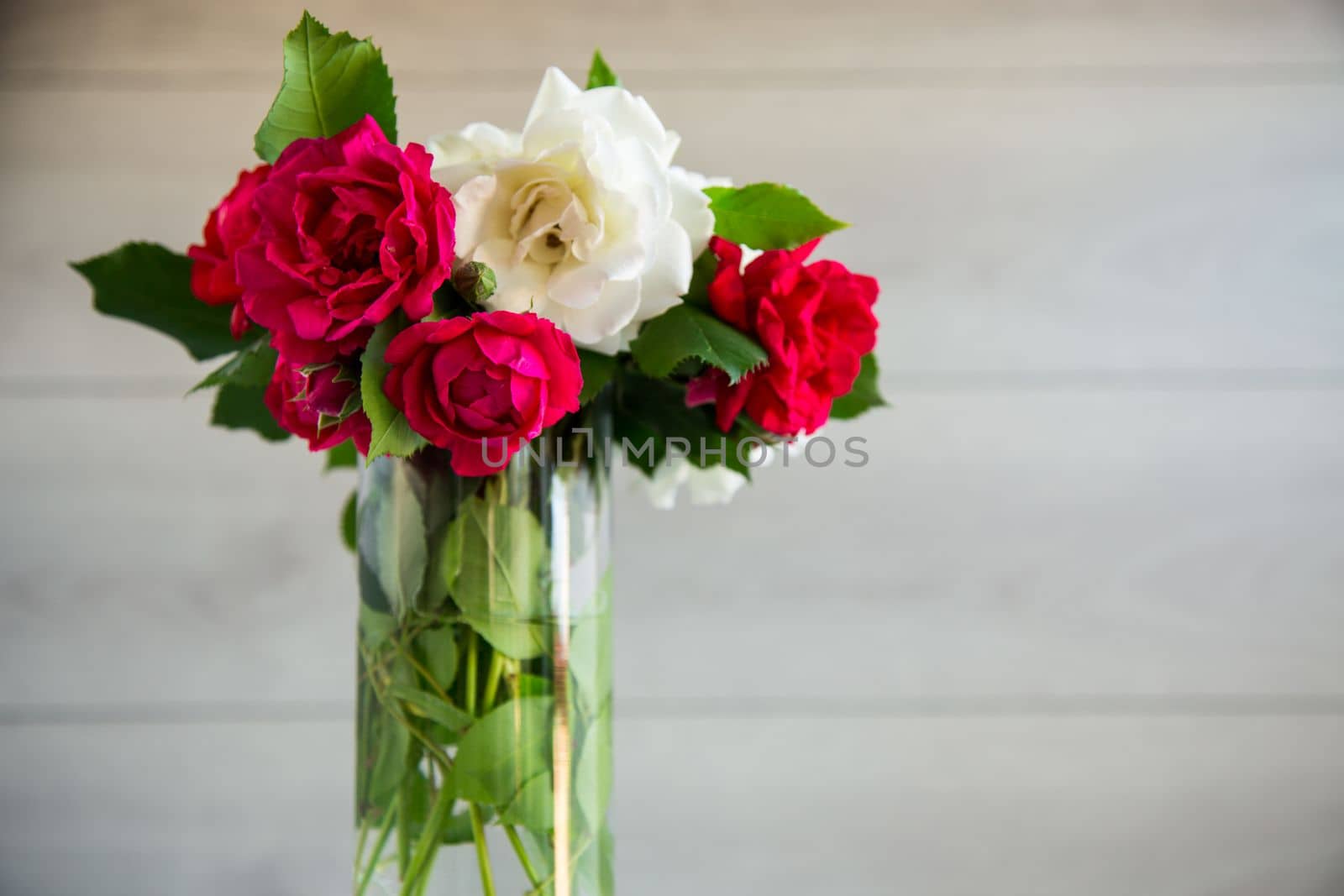 bouquet of beautiful white and red on a wooden table