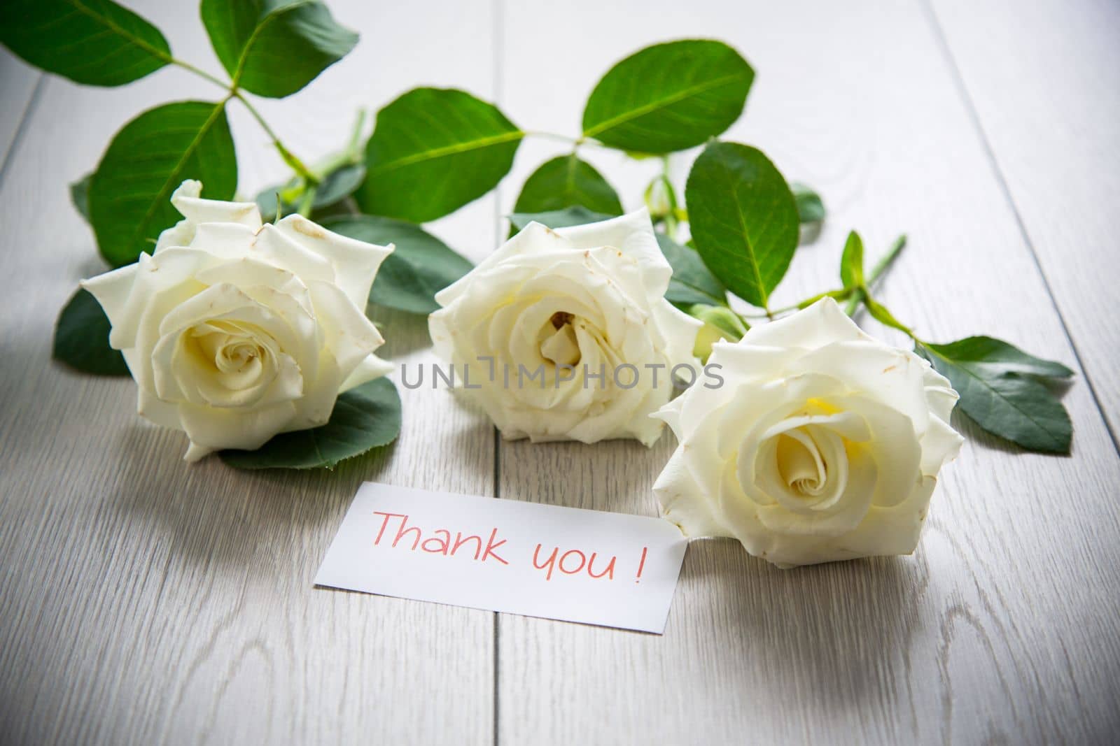 beautiful background of many white roses on a light wooden