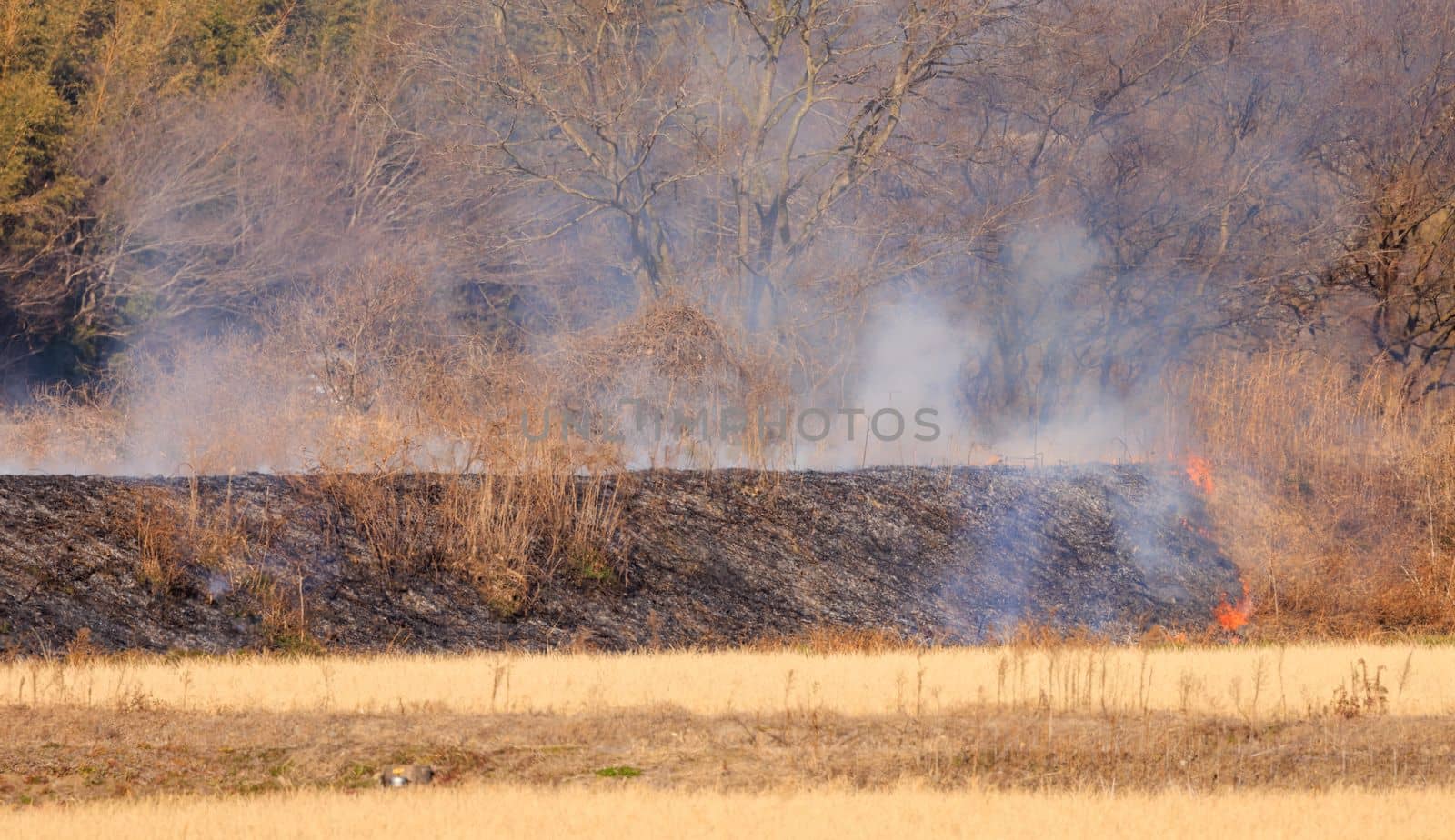 Fire line on dry grass on hillside leaving burned smokey black ash trail by Osaze