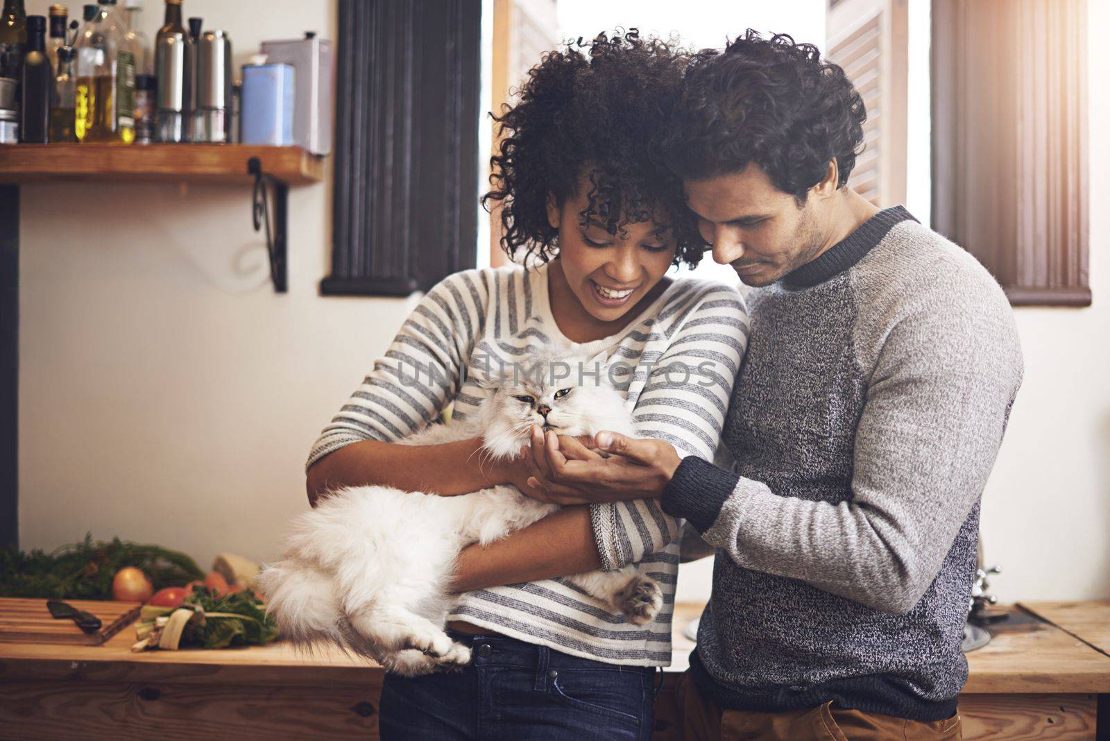 Doting on their furry friend. a couple with their cat at home. by YuriArcurs