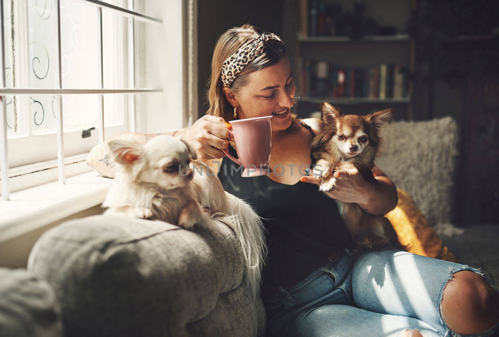 Its not a home with dogs. a young woman having coffee and relaxing with her dogs on the sofa at home. by YuriArcurs