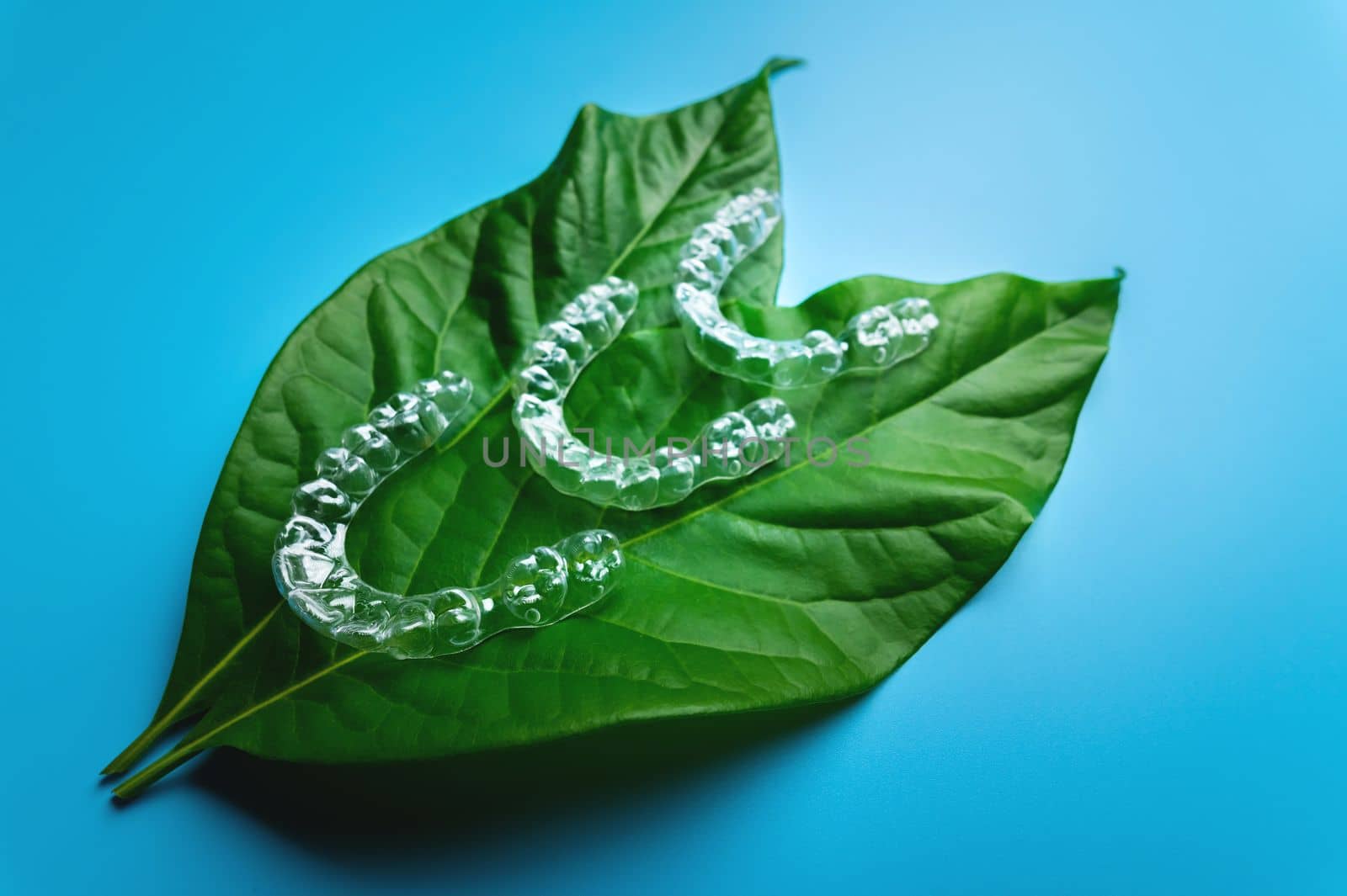 top view, three pieces of plastic braces lie on a green leaf from a flower on a blue background. dental treatment concept.