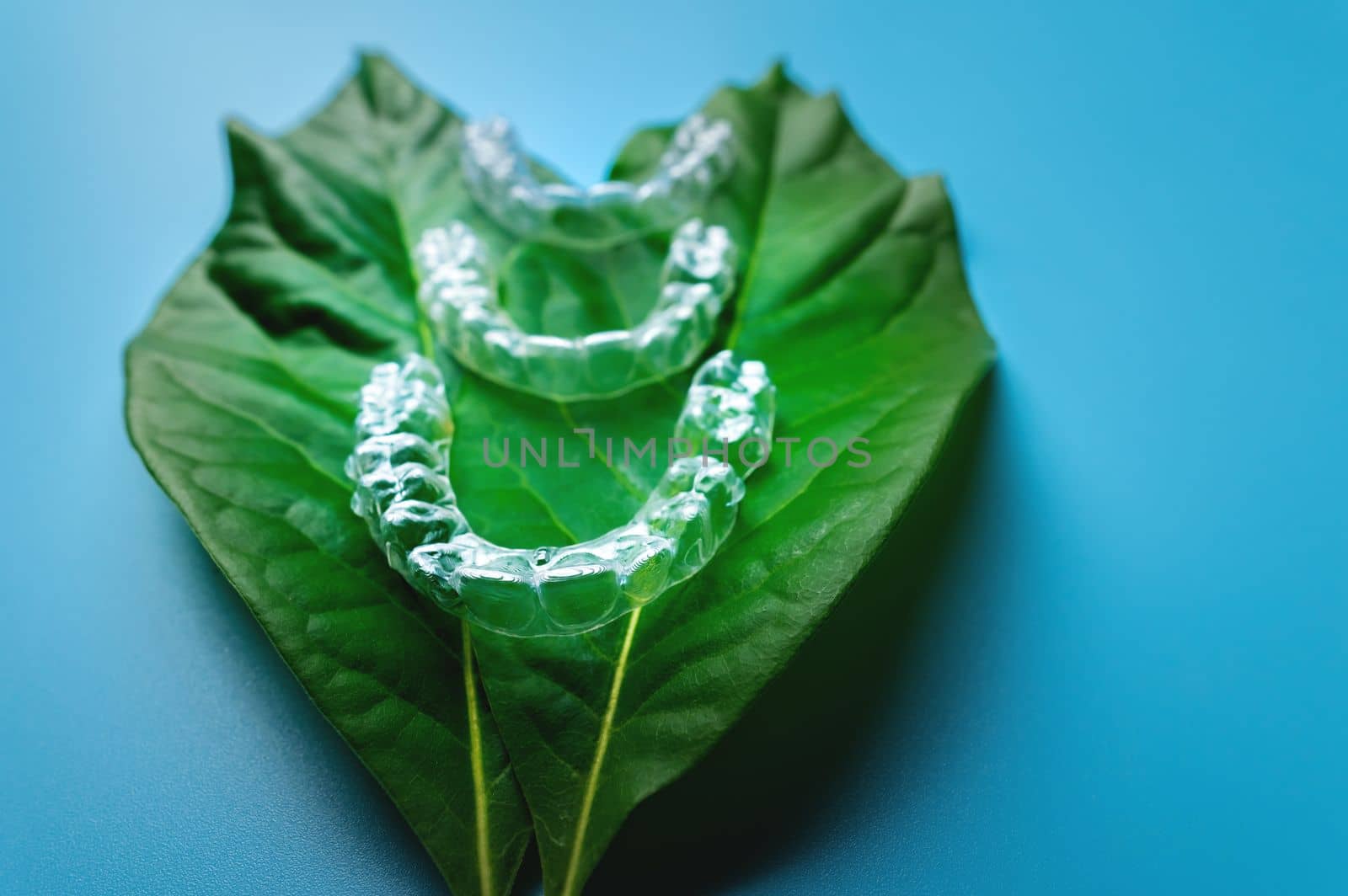 top view, three pieces of plastic braces lie on a green leaf from a flower on a blue background. dental treatment concept.