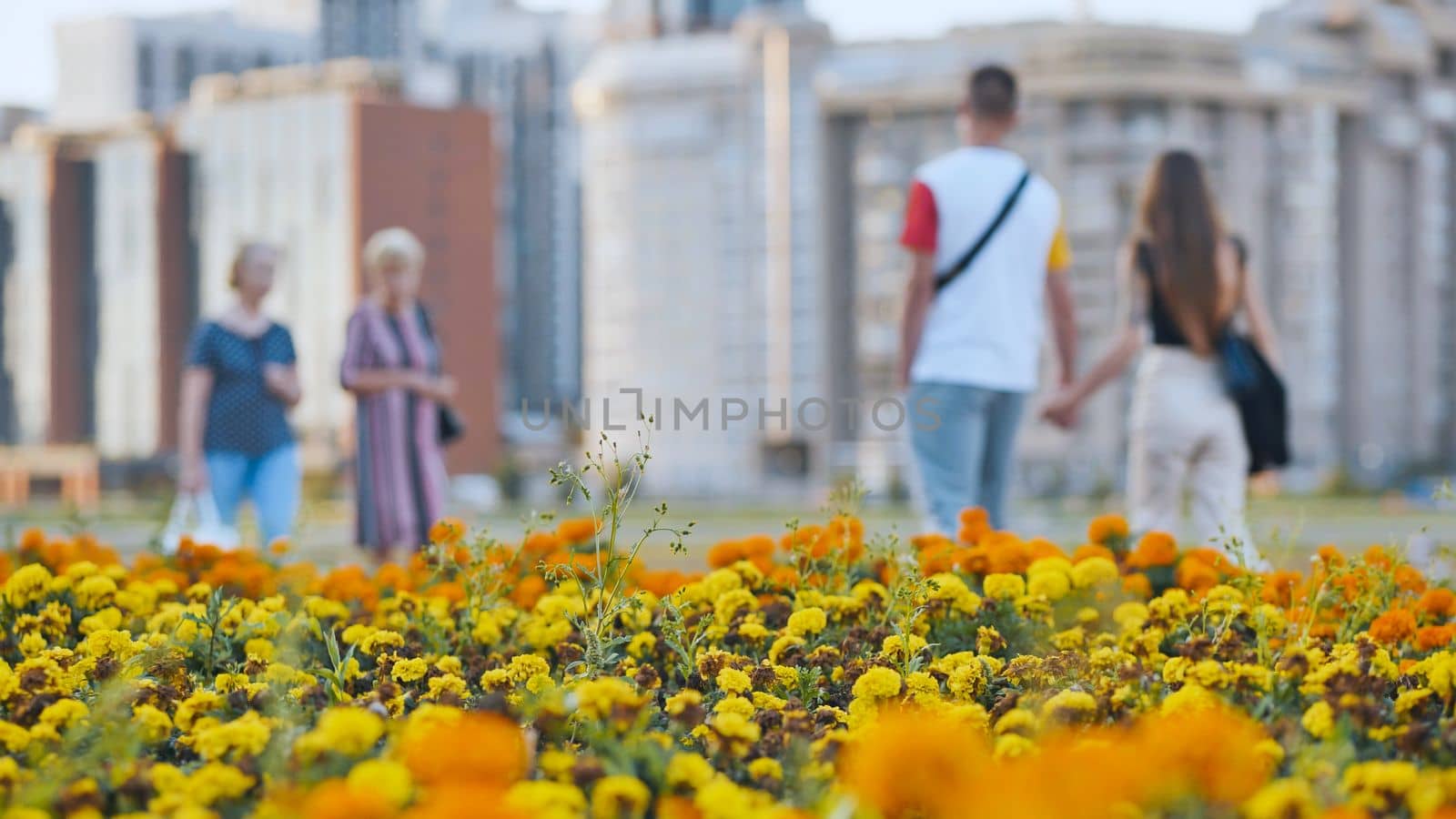 People stroll through the city among the flower beds
