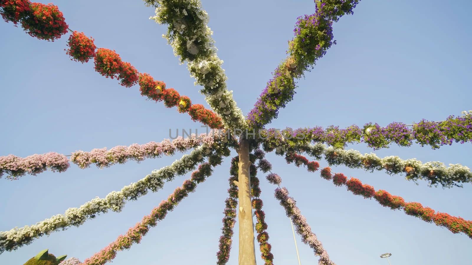 Hanging garlands of fresh flowers in a city park