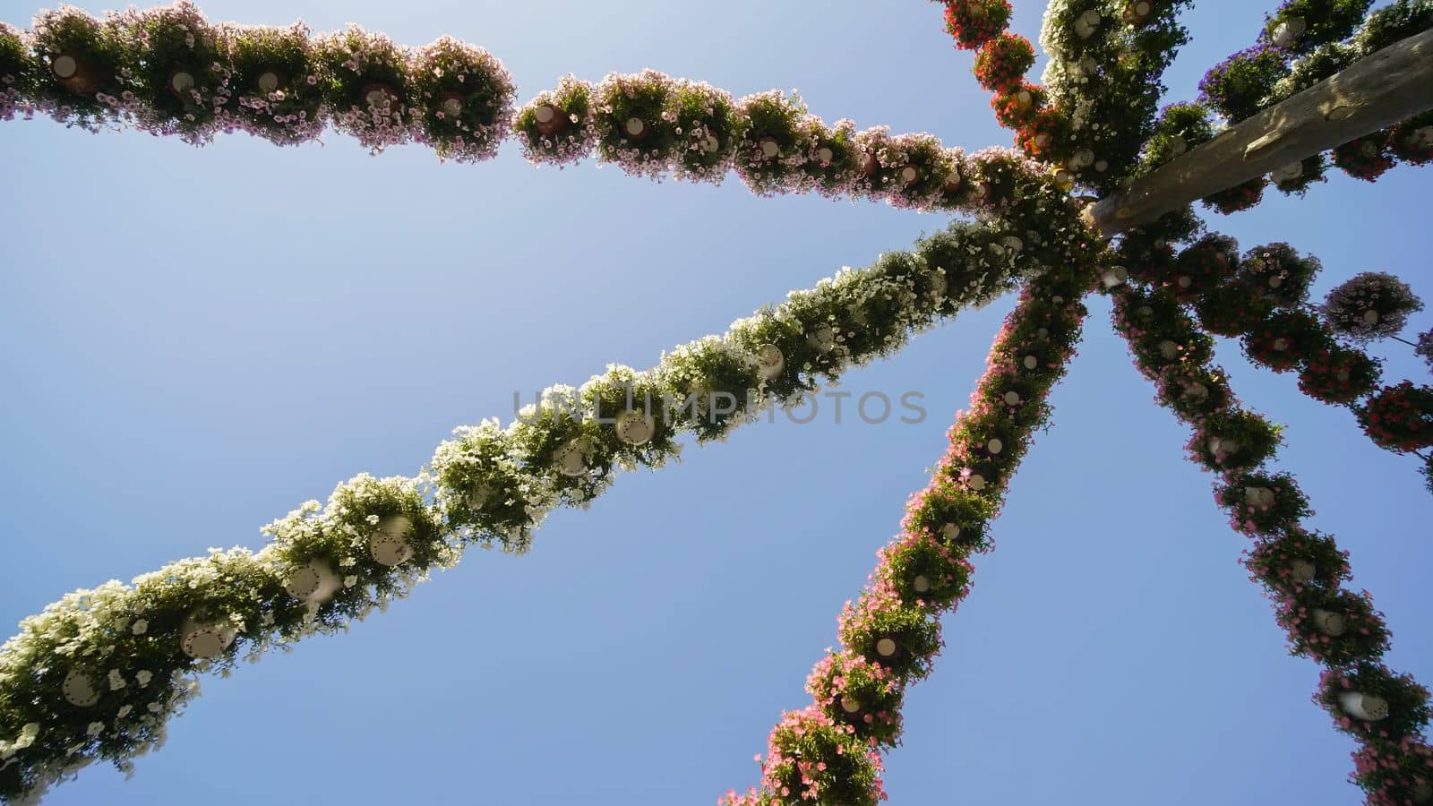 Hanging garlands of fresh flowers in a city park