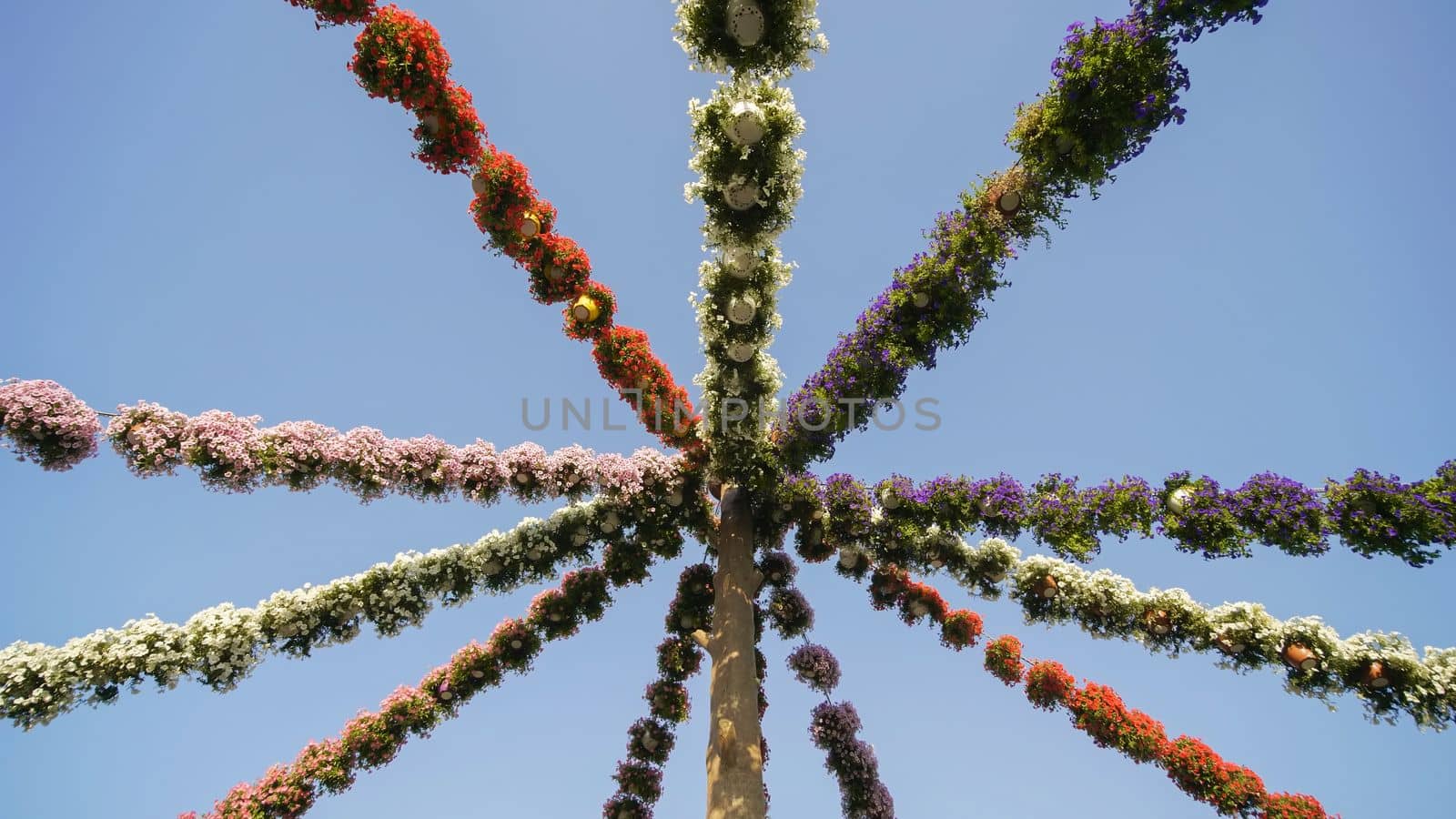 Hanging garlands of fresh flowers in a city park