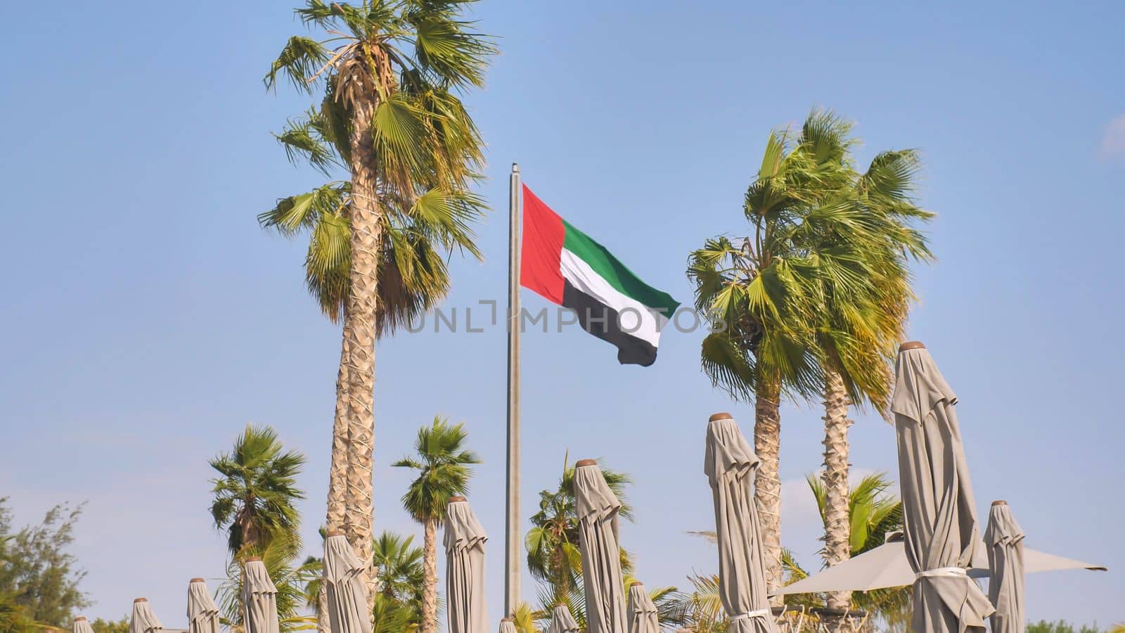 Flag United Arab Emirator on the background of palm trees on the beach