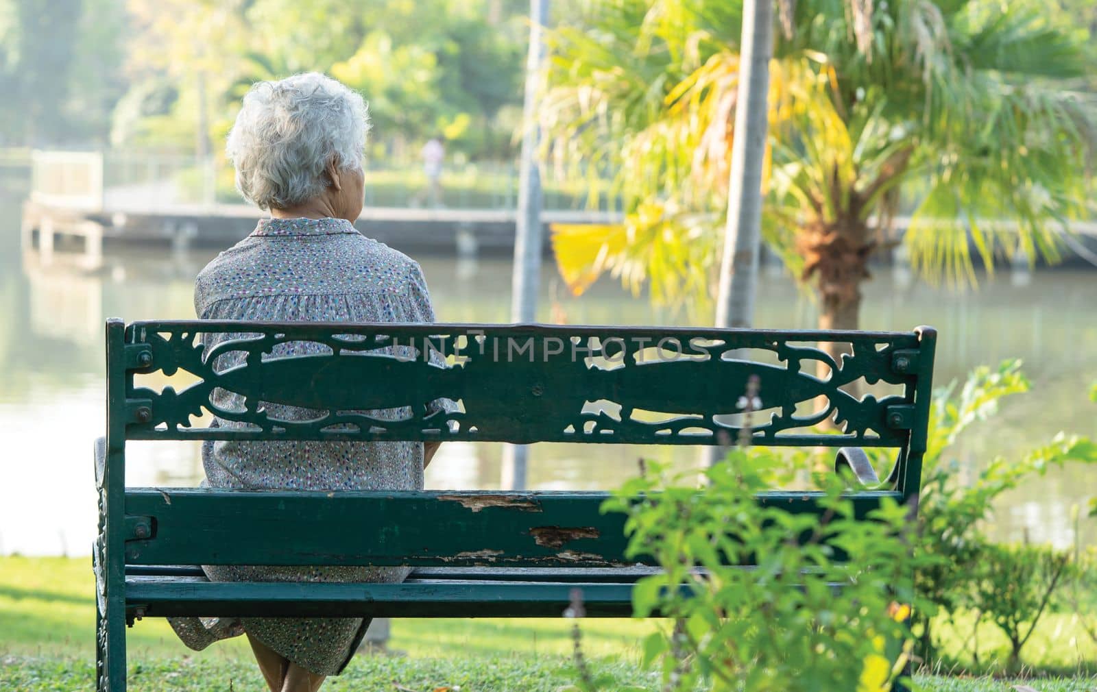 Asian elderly woman depressed and sad sitting back on bench in autumn park. by pamai