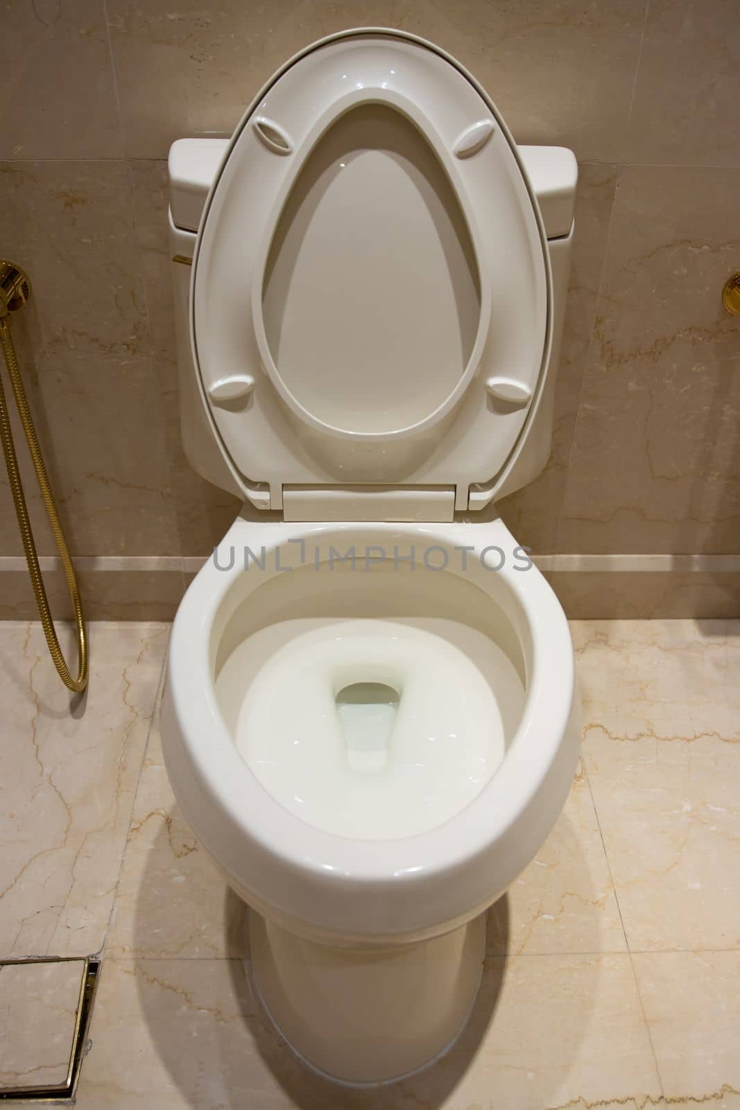 White toilet in the bathroom of an expensive house