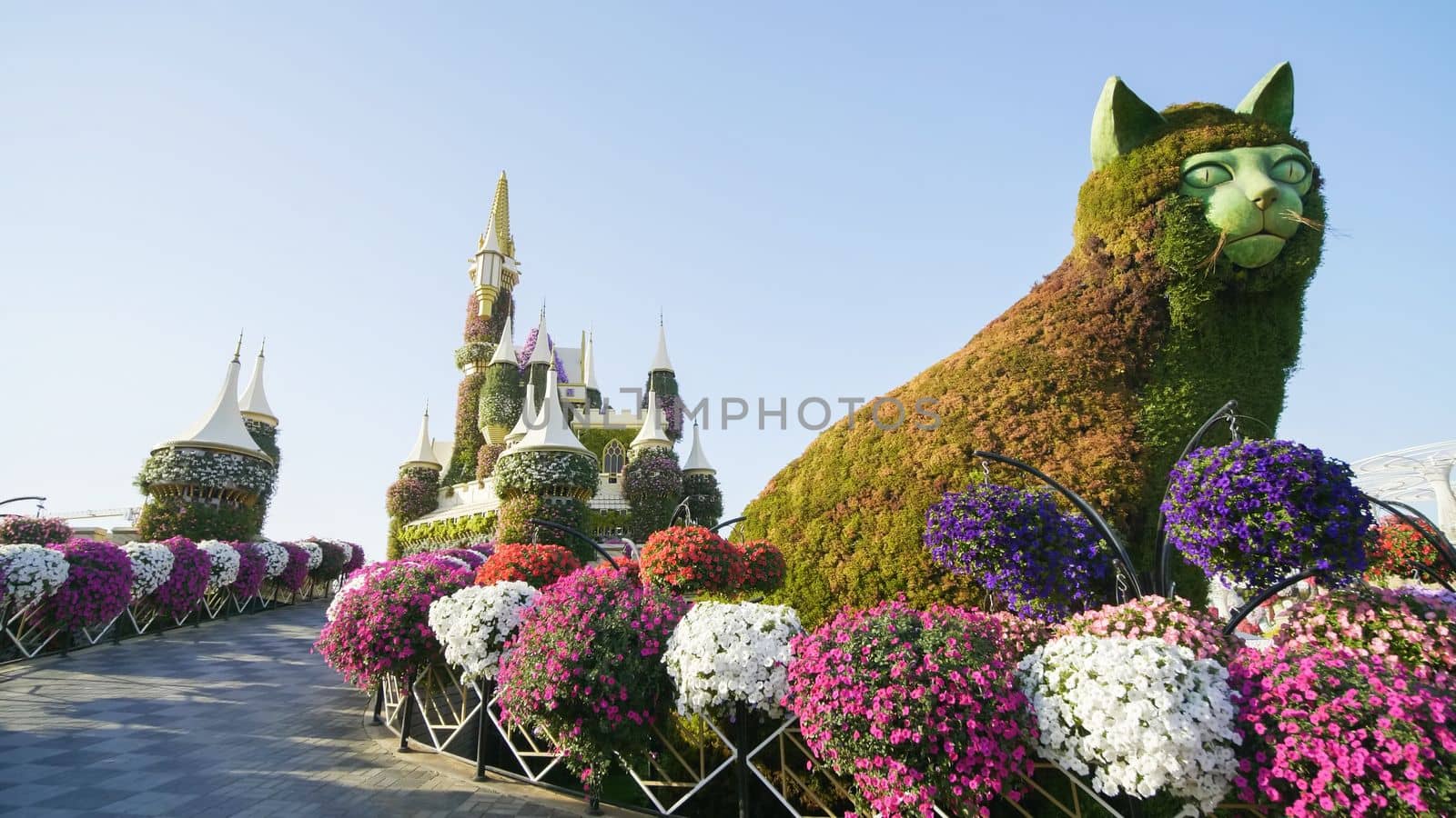Dubai Miracle Garden in the UAE. It has over 45 million flowers.