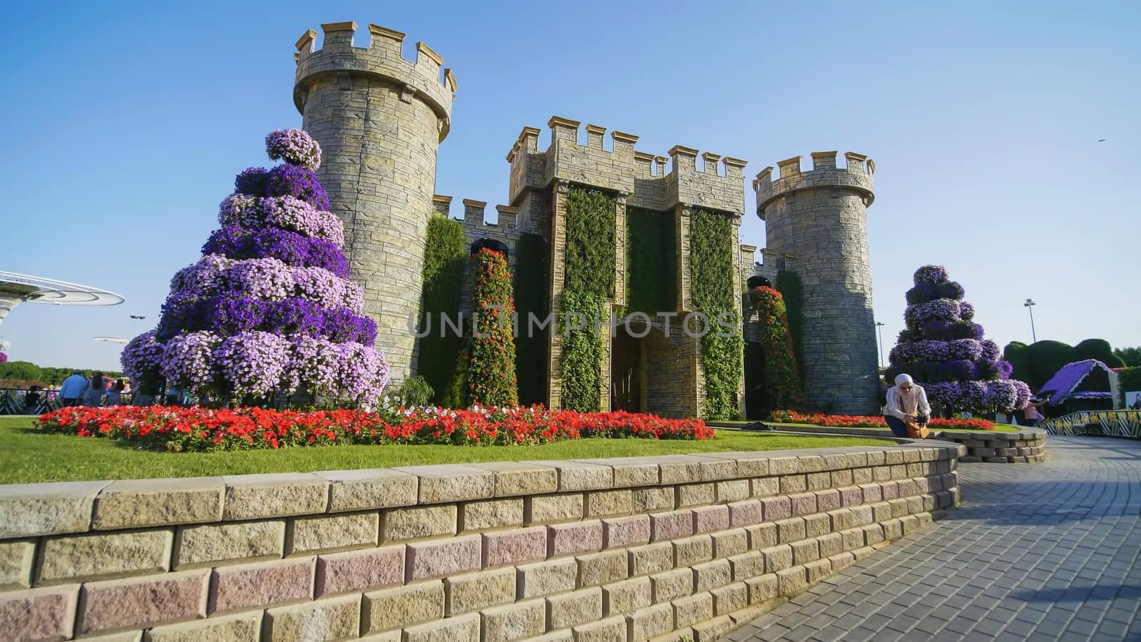 Dubai Miracle Garden in the UAE. It has over 45 million flowers.