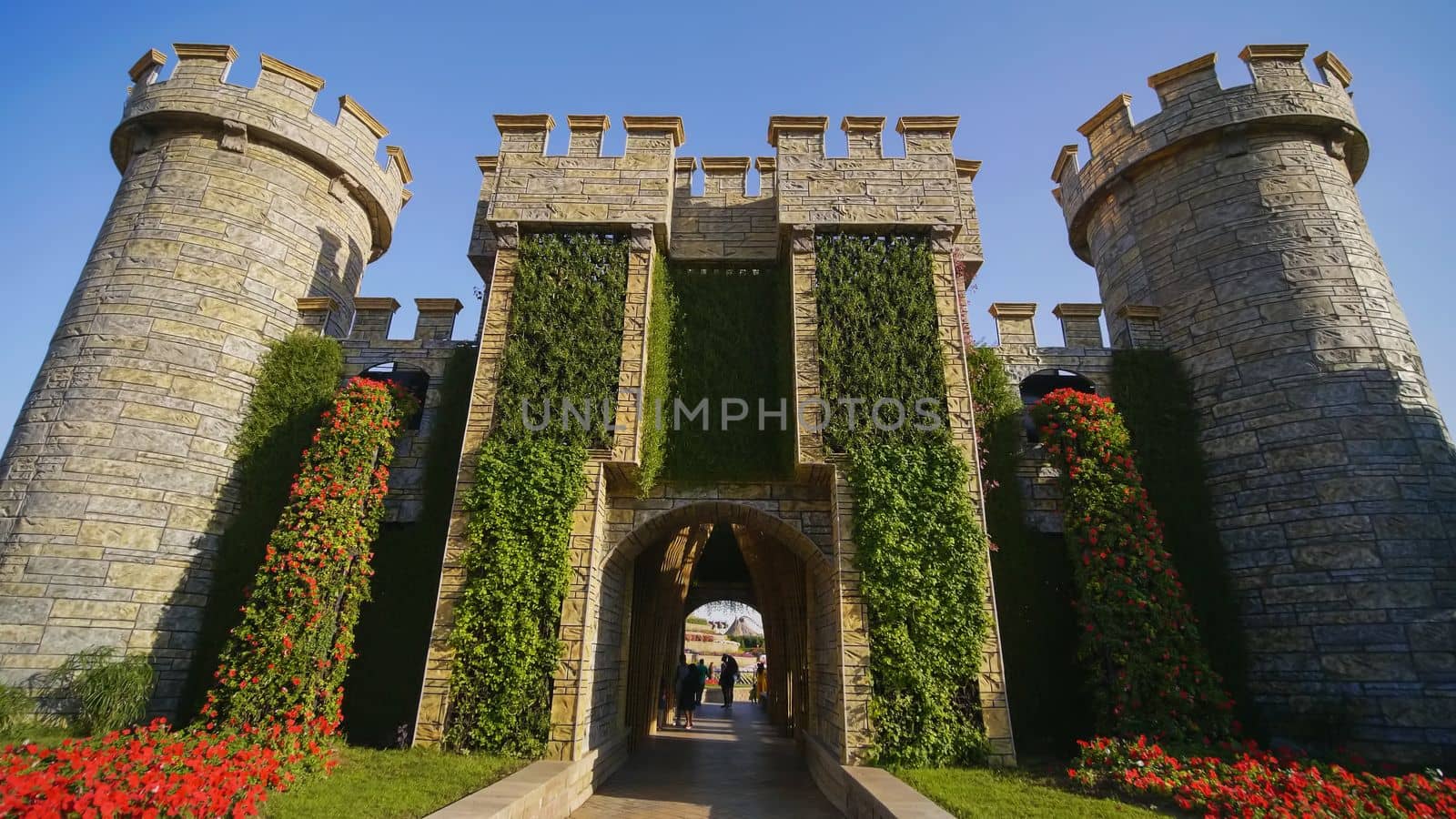 Dubai Miracle Garden in the UAE. It has over 45 million flowers.