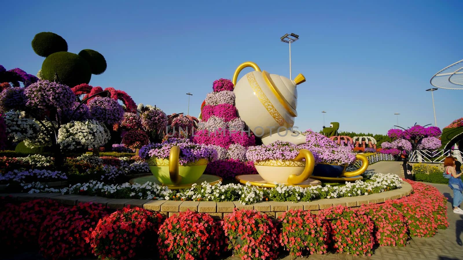 Dubai Miracle Garden in the UAE. It has over 45 million flowers.