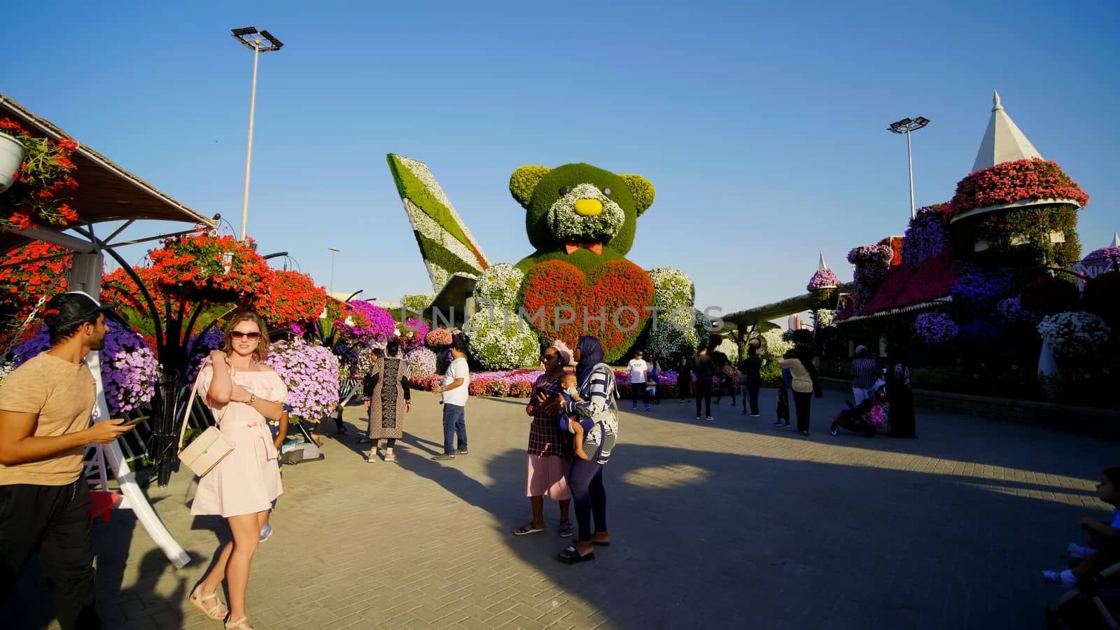 Dubai Miracle Garden in the UAE. It has over 45 million flowers.