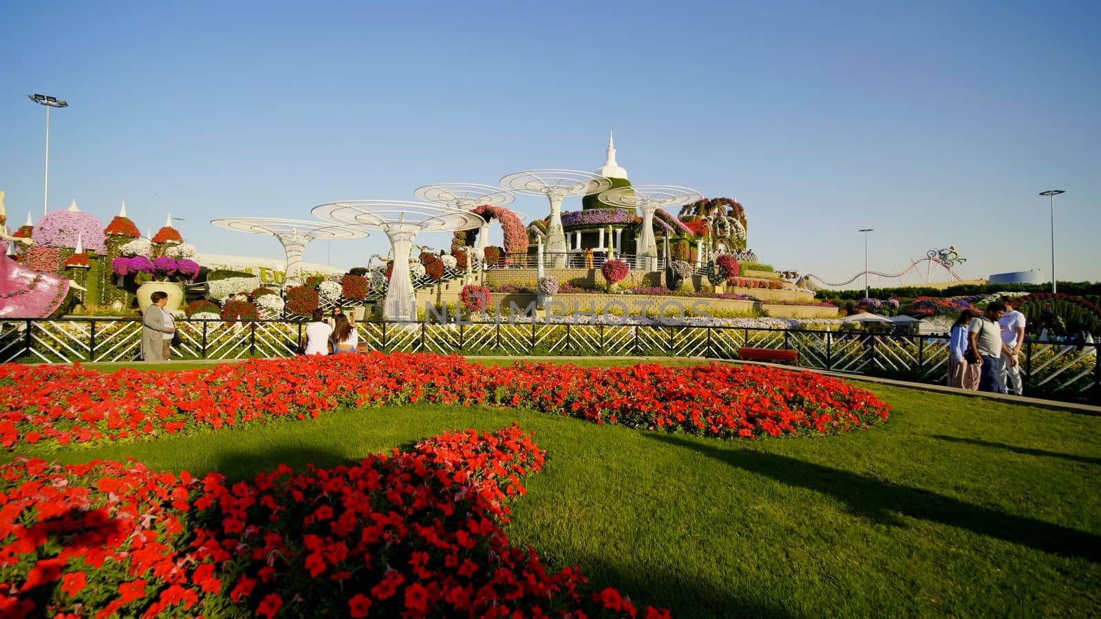 Dubai Miracle Garden in the UAE. It has over 45 million flowers.
