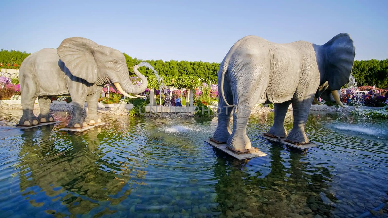 Exposition of elephants in the garden of Miracles in Dubai.