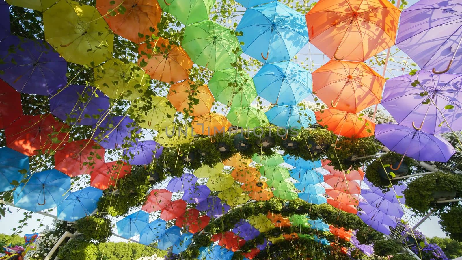 Multi-colored umbrellas in the park of the city