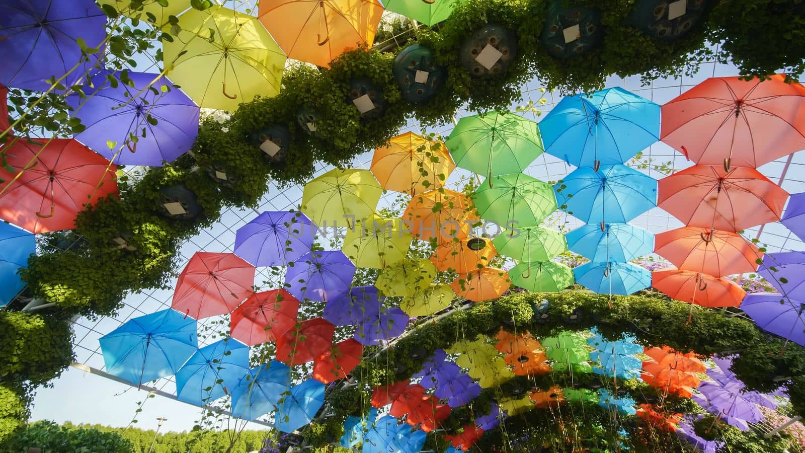 Multi-colored umbrellas in the park of the city