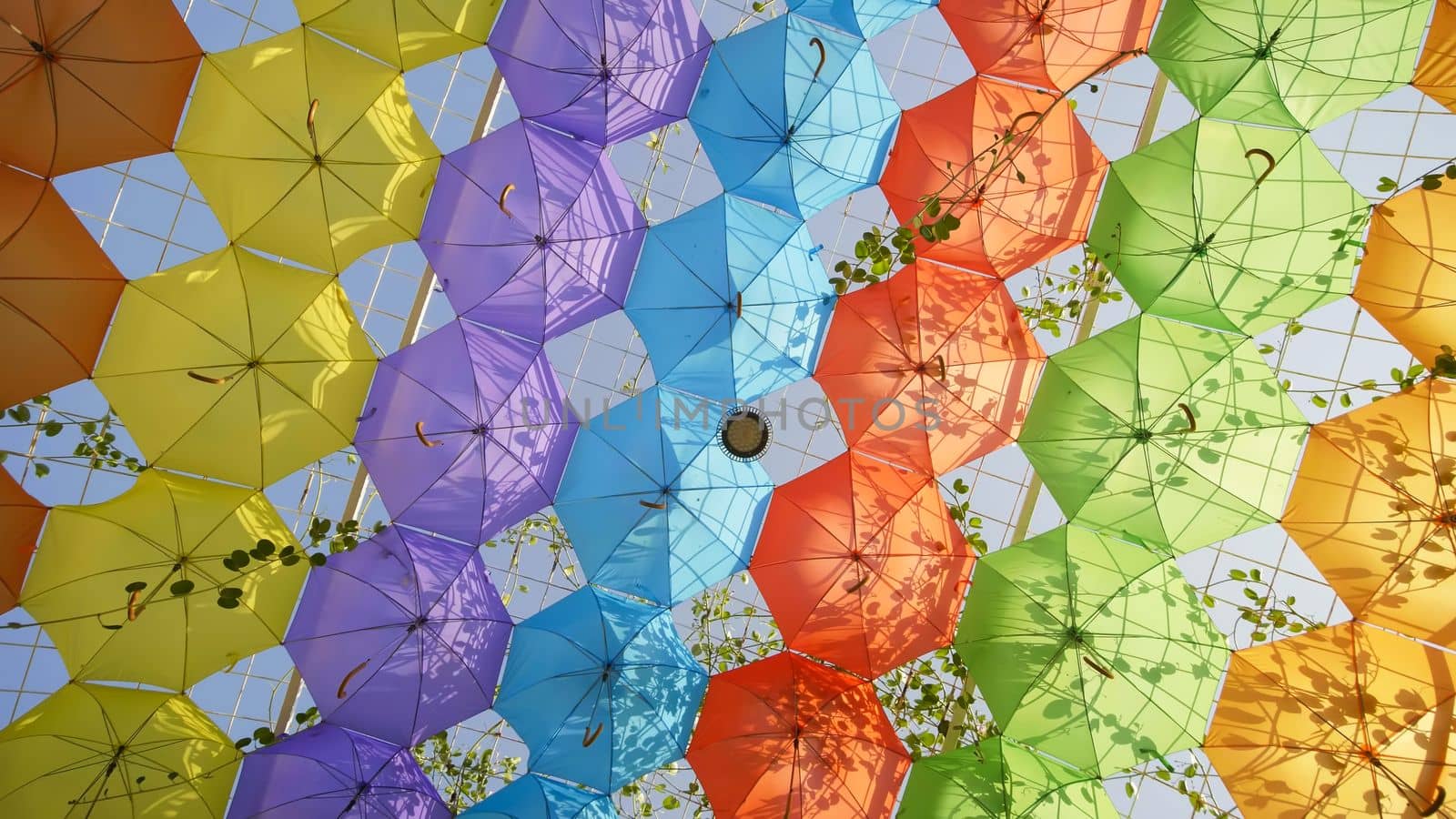 Multi-colored umbrellas in the park of the city