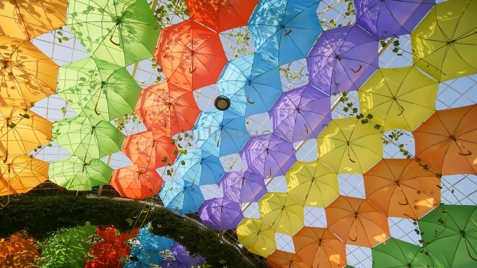 Multi-colored umbrellas in the park of the city