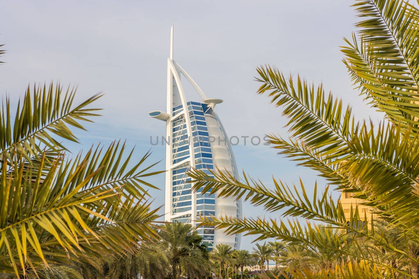 Burj al arab hotel in Dubai during the day and amid palm trees.