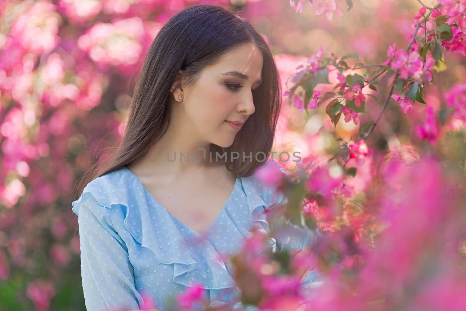 Adorable brunette girl with long hair is standing near a pink blooming apple tree, in the summer in the park. Close up